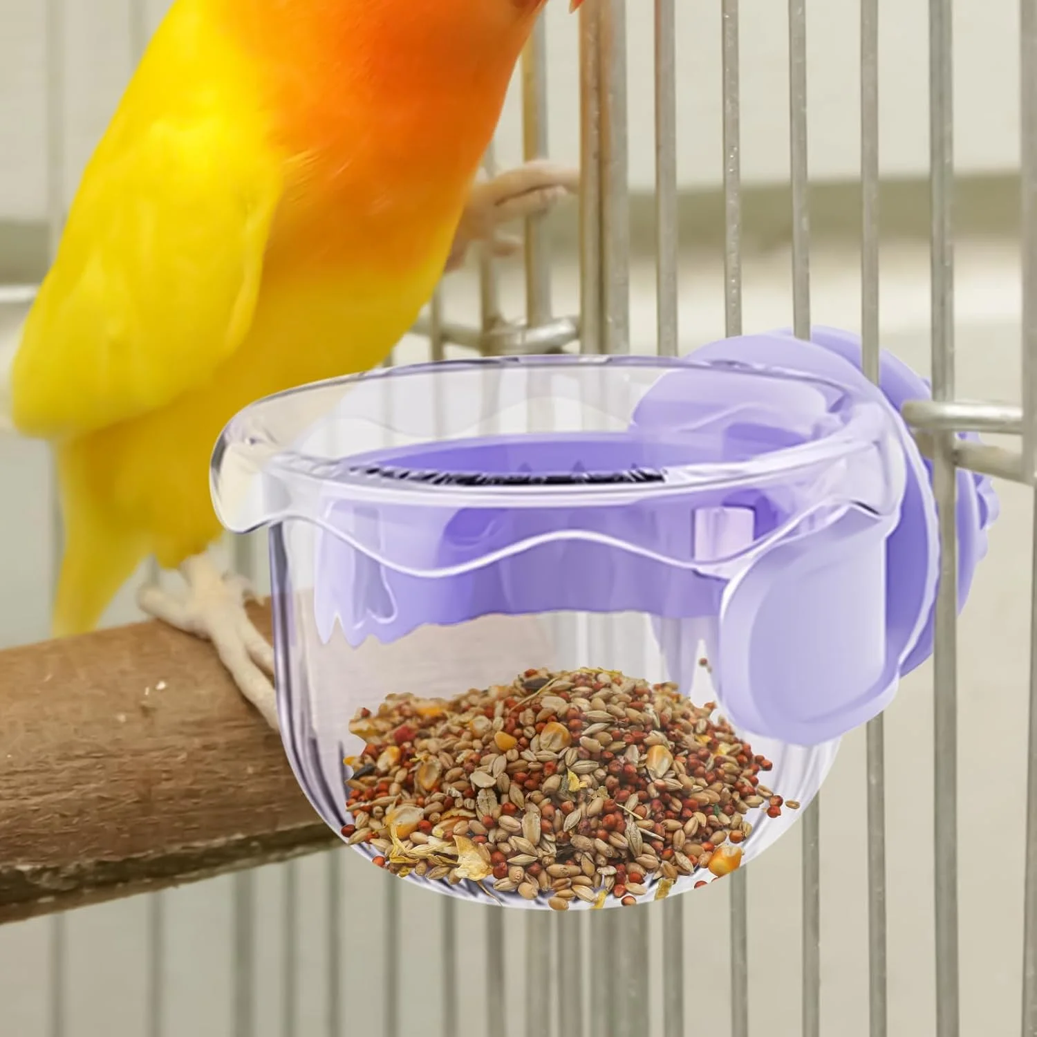 ظرف غذای پرنده برای قفس - ظرف غذای طوطی، ظرف ضد ریزش قابل حمل برای استفاده در فضای داخلی و خارجی، مناسب برای تغذیه و نوشیدن در باغ، مناسب برای طوطی ماکائو و طوطی برزیلی