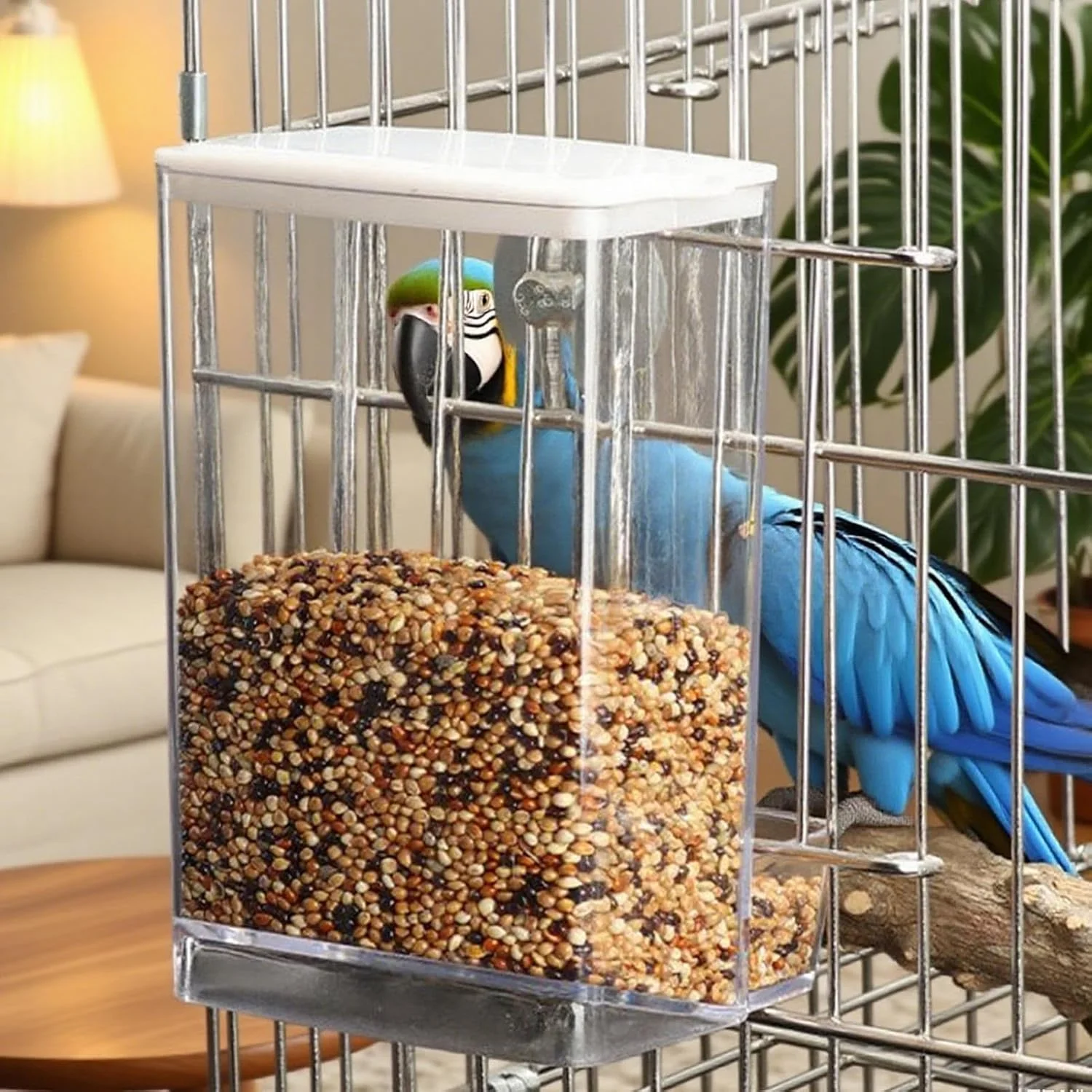 ظرف غذای پرنده خودکار - ظرف غذای پرنده قابل جدا شدن برای پنجره - محفظه غذای شفاف برای طوطی، مرغ مگس خوار، مرغ، پاسیو، پنجره