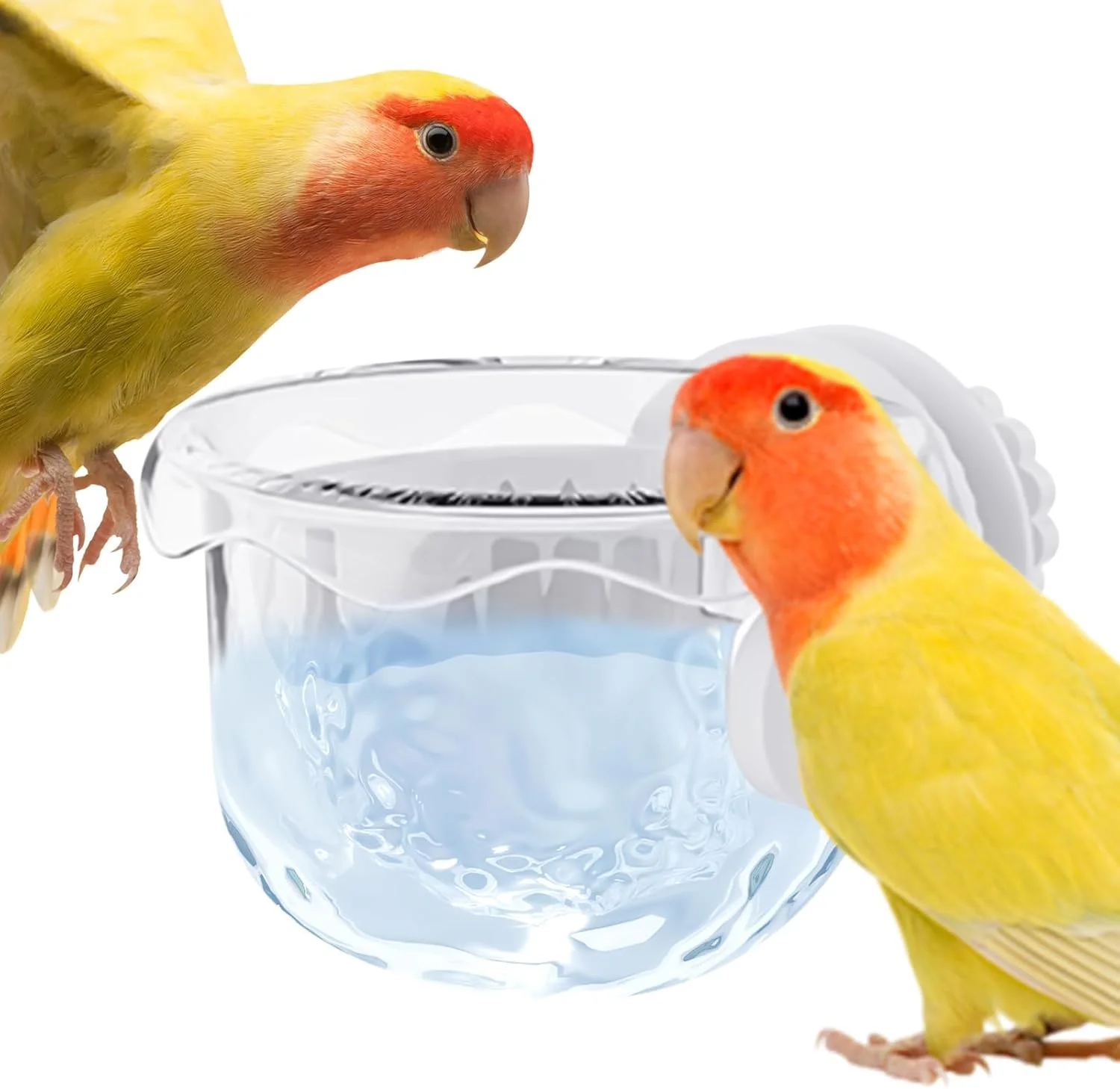 ظرف غذای پرنده برای قفس، ظرف غذای طوطی - ظرف کوچک ضد ریزش برای غذا دادن و نوشیدن طوطی برزیلی، عروس هلندی، ماکائو، مناسب برای مسافرت، داخل خانه، فضای باز، باغ
