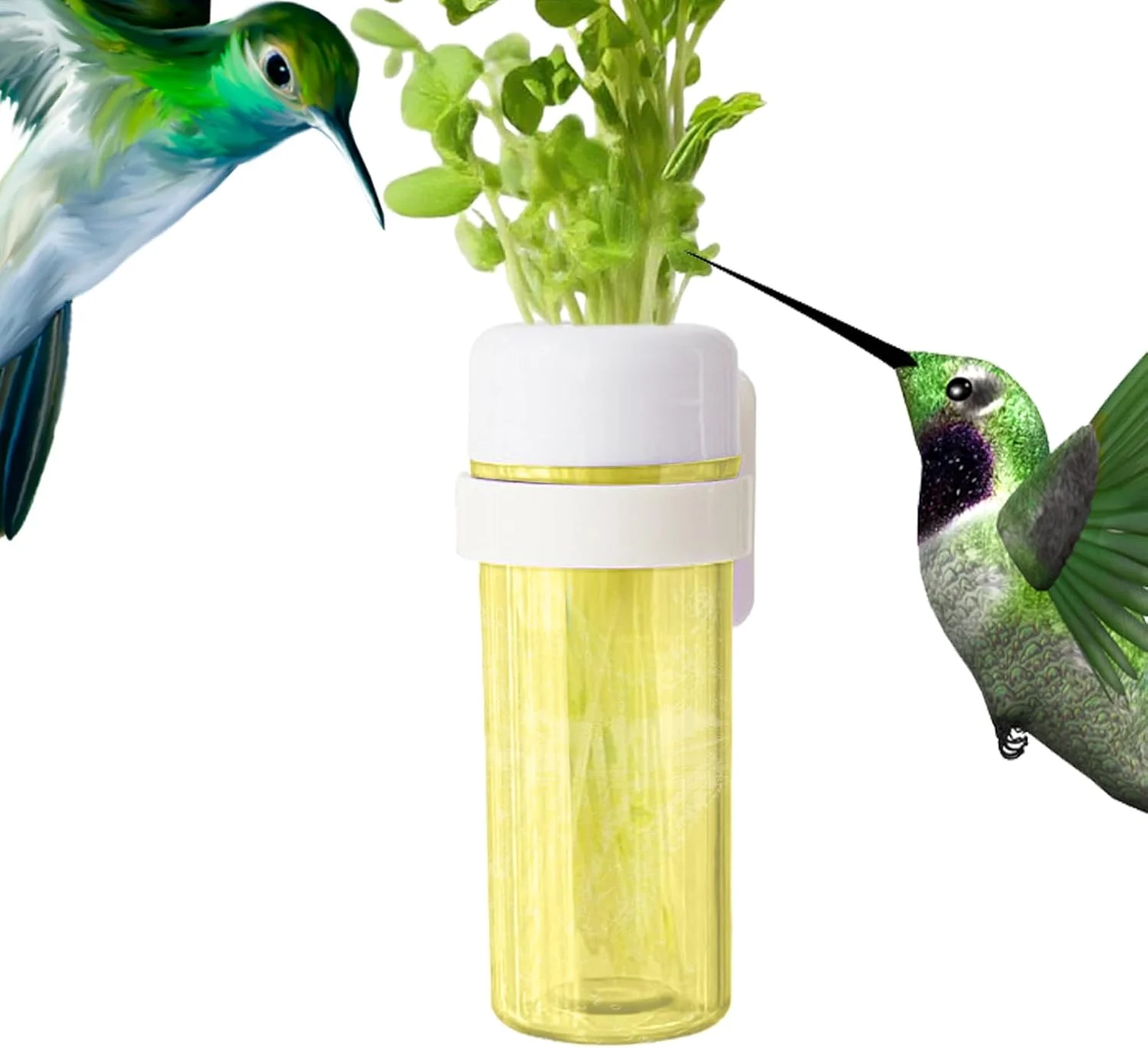 نگهدارنده غذا قفس پرنده - تغذیه کننده سبزیجات طوطی با طراحی ذخیره آب، سبزیجات را تازه نگه می دارد، ظرف غذای پرنده خانگی برای طوطی برزیلی، عروس هلندی، فنچ، گنجشک، کانور