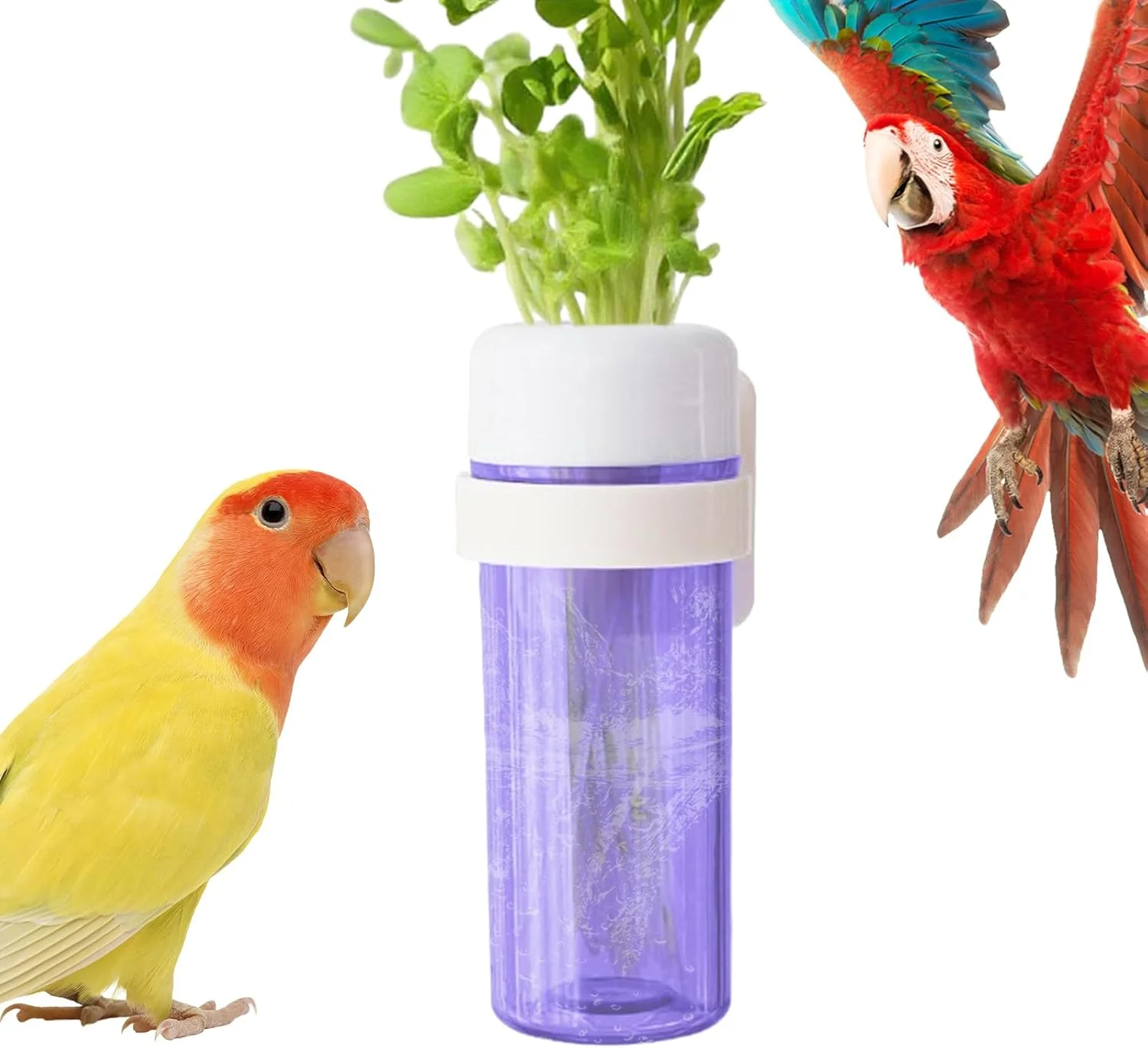 نگهدارنده سبزیجات طوطی - تغذیه کننده سبزیجات طوطی با طراحی ذخیره آب | سبزیجات را تازه نگه دارید، ظرف غذای پرنده خانگی برای طوطی برزیلی، عروس هلندی، فنچ، گنجشک، کانور