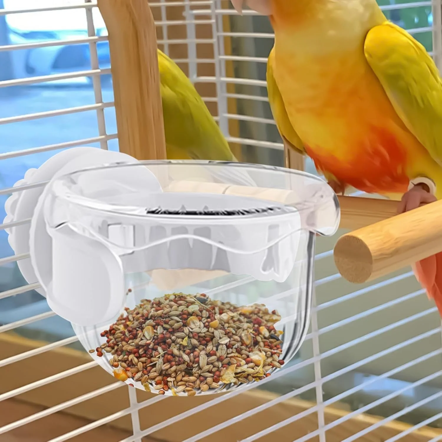ظرف غذای پرنده برای قفس، ظرف غذای طوطی - ظرف کوچک ضد ریزش برای غذا دادن و نوشیدن طوطی برزیلی، عروس هلندی، ماکائو، مناسب برای مسافرت، داخل خانه، فضای باز، باغ
