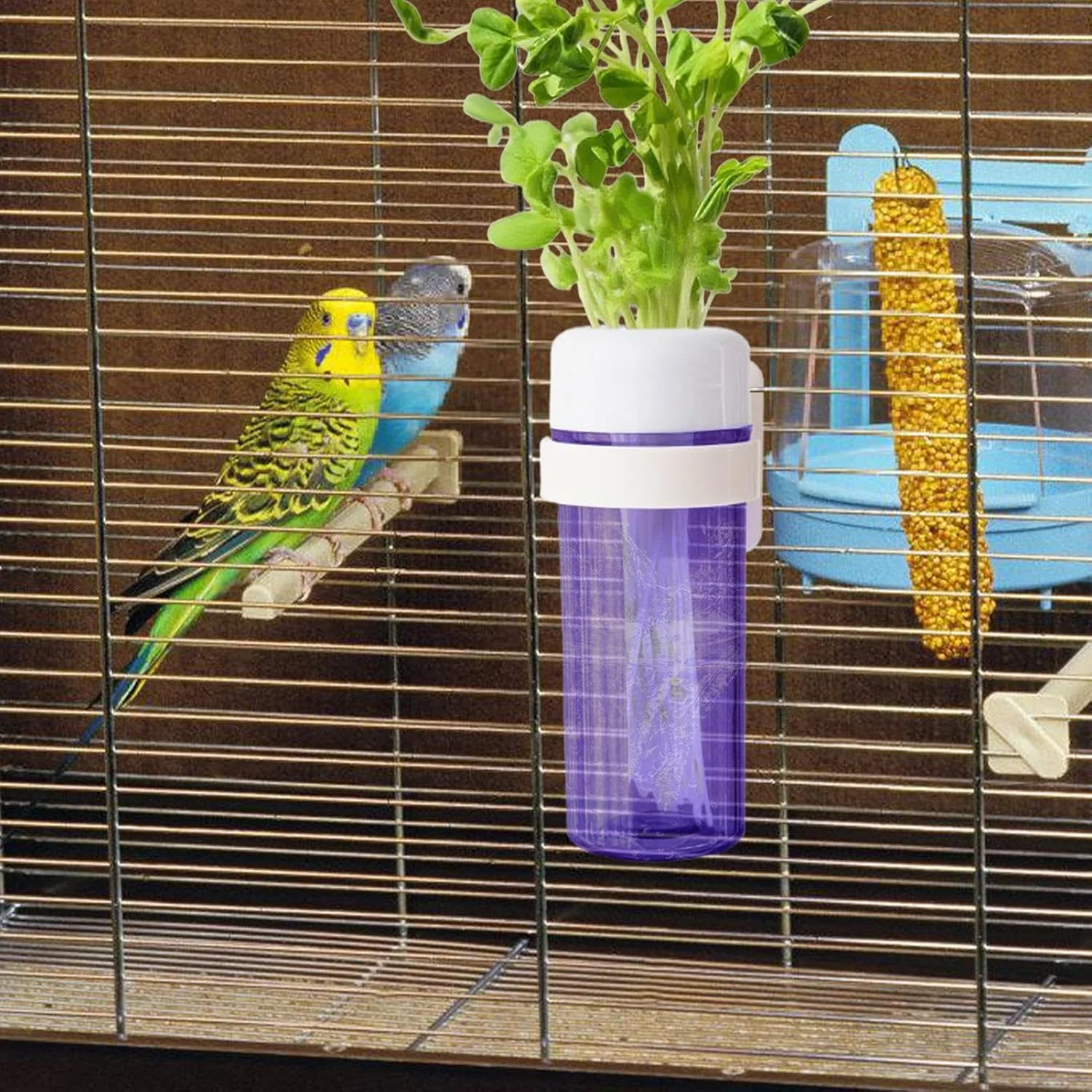 نگهدارنده سبزیجات طوطی - تغذیه کننده سبزیجات طوطی با طراحی ذخیره آب | سبزیجات را تازه نگه دارید، ظرف غذای پرنده خانگی برای طوطی برزیلی، عروس هلندی، فنچ، گنجشک، کانور