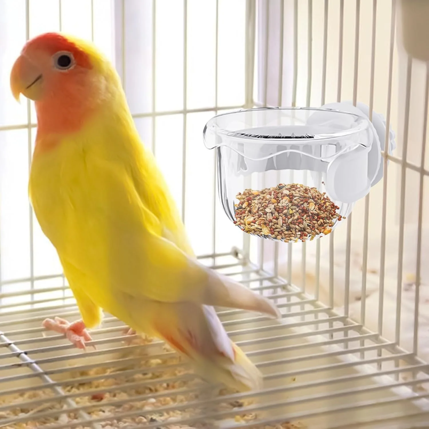 کاسه پرنده | کاسه های قفس پرنده | ظرف کوچک ضد ریزش برای تغذیه، نوشیدن، حمل و نقل، طوطی، عروس هلندی، ماکائو، فضای داخلی، فضای باز، باغ پرندگان