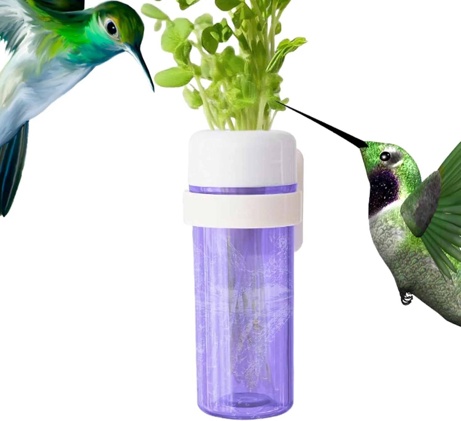 نگهدارنده سبزیجات طوطی - نگهدارنده سبزیجات مرغ عشق با طراحی ذخیره آب برای قفس، سبزیجات را تازه نگه دارید، لوازم تغذیه غذای پرندگان خانگی برای ماکائو، عروس هلندی، گنجشک، فنچ، مرغ عشق