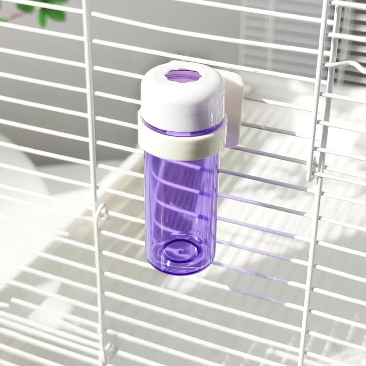 نگهدارنده سبزیجات طوطی، تغذیه کننده سبزیجات طوطی با طراحی ذخیره آب - نصب آسان شیشه غذای پرنده خانگی برای طوطی، گنجشک، فنچ، ماکائو، مرغ عشق، عروس هلندی