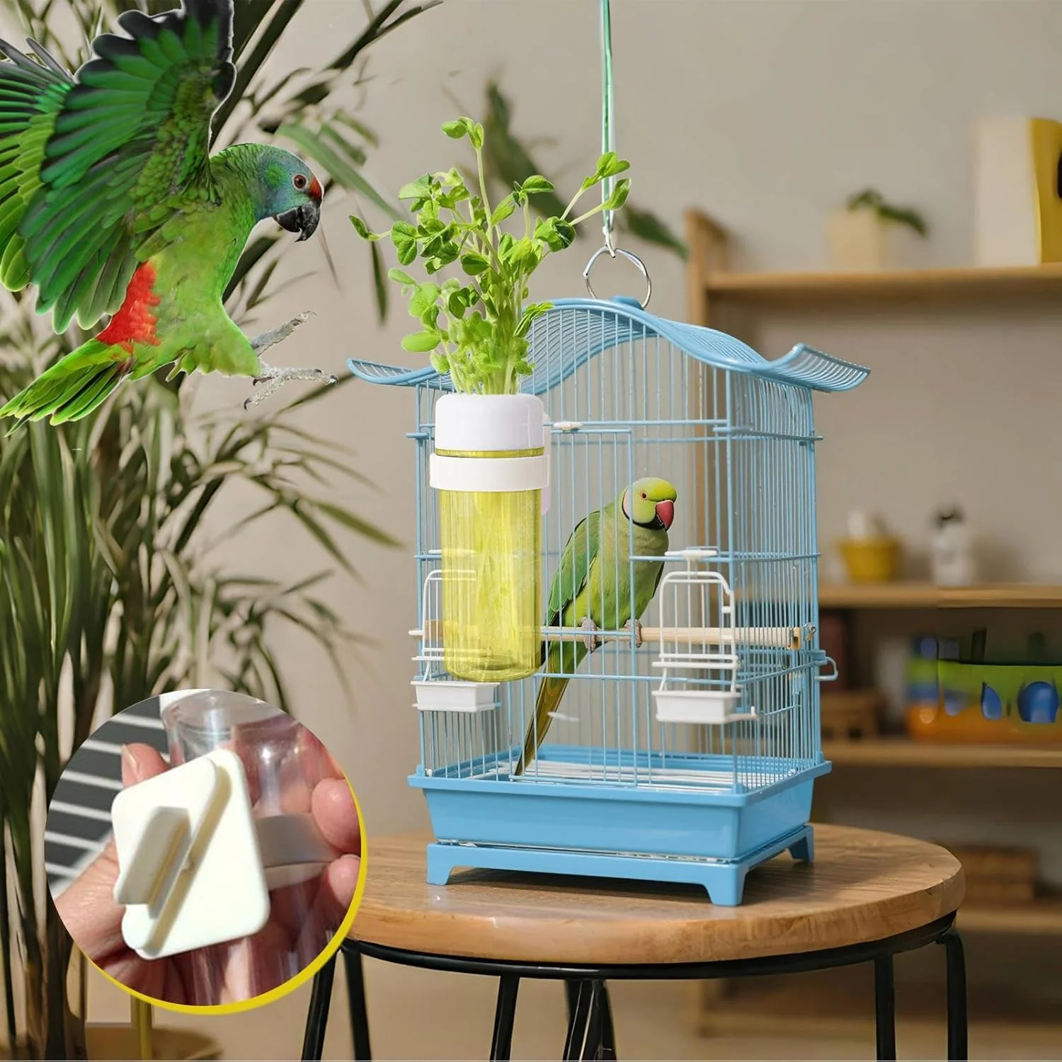 ظرف سبزیجات طوطی | ظرف غذای طوطی با طراحی ذخیره آب برای قفس، نصب آسان ظرف غذای پرنده برای مرغ عشق، گنجشک، فنچ، ماکائو، کوتوله برزیلی، عروس هلندی