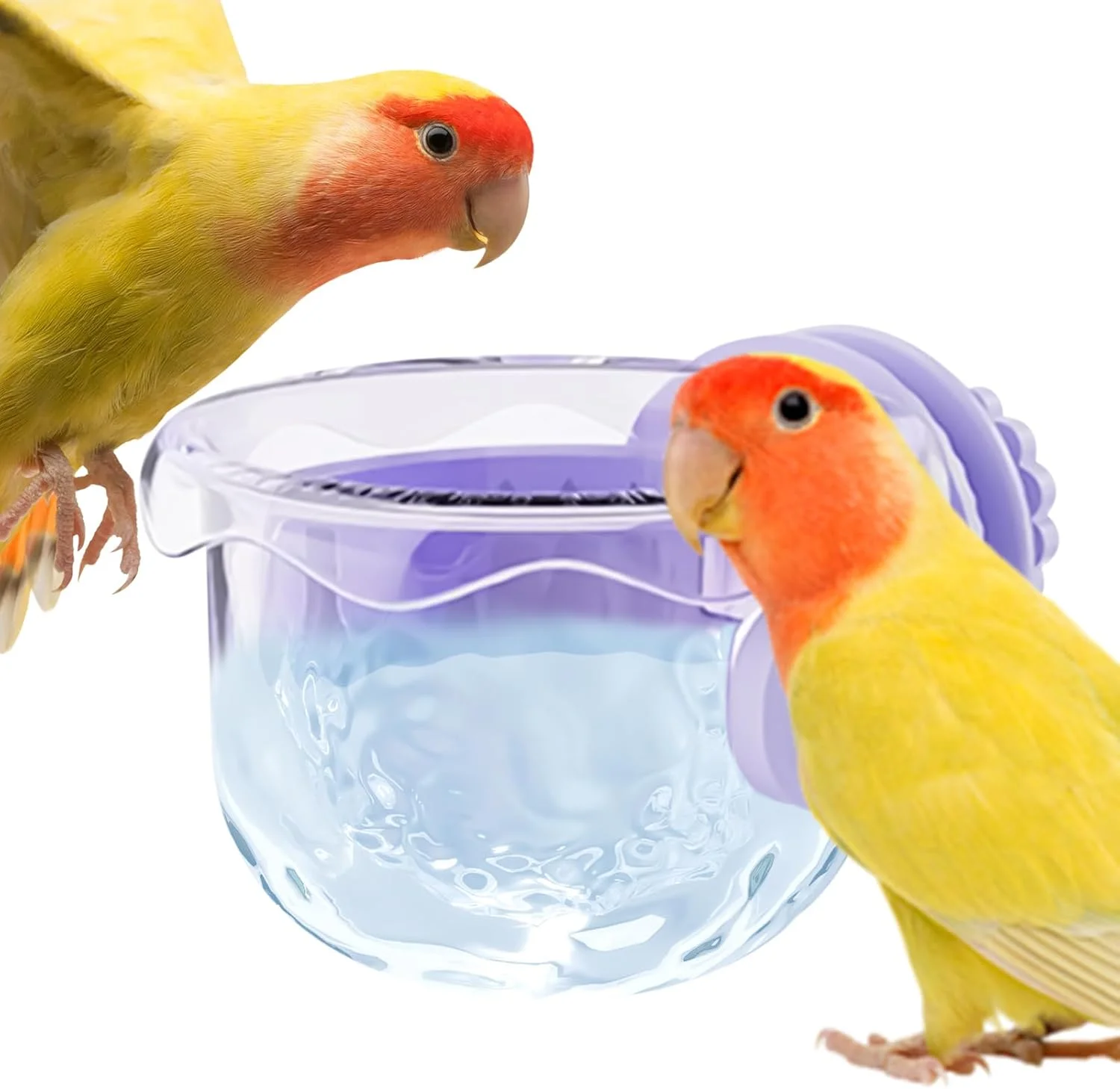 ظرف غذای قفس پرنده - کاسه های قفس پرنده | ظرف قابل حمل ضد ریزش برای تغذیه و نوشیدن طوطی، ماکائو، عروس هلندی، مناسب فضای باز، باغ، حمل و نقل