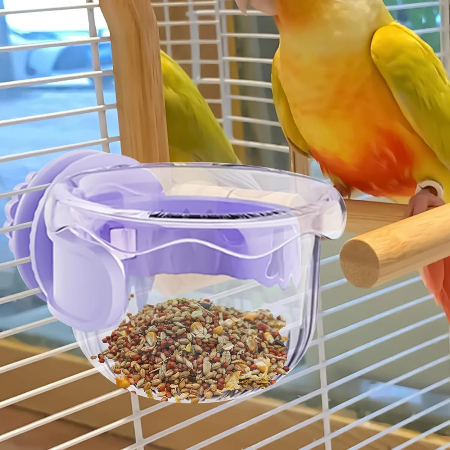 ظرف غذای قفس پرنده - کاسه های قفس پرنده | ظرف قابل حمل ضد ریزش برای تغذیه و نوشیدن طوطی، ماکائو، عروس هلندی، مناسب فضای باز، باغ، حمل و نقل