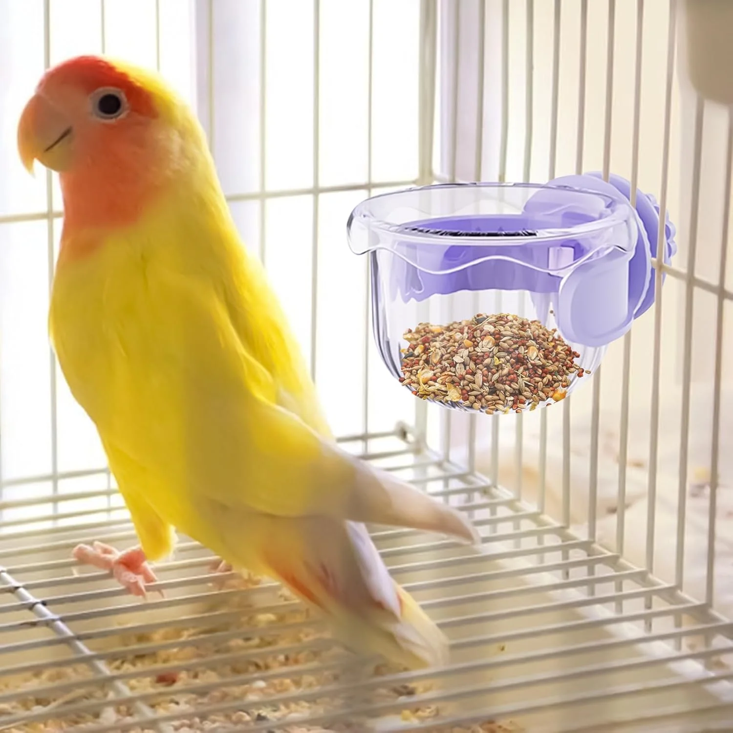 ظرف غذای پرنده | ظرف غذای طوطی - ظرف کوچک ضد ریزش برای غذا دادن، نوشیدن، قفس حمل و نقل طوطی، عروس هلندی، ماکائو، قفس پرنده داخلی و خارجی، باغ