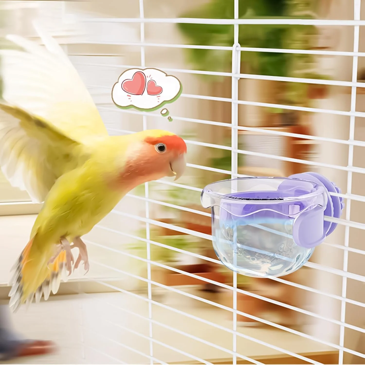ظرف غذای پرنده | ظروف پرنده برای قفس، ظرف قابل حمل ضد ریزش برای تغذیه و آشامیدن طوطی، ماکائو، عروس هلندی، مناسب فضای باز، باغ، و قفس حمل