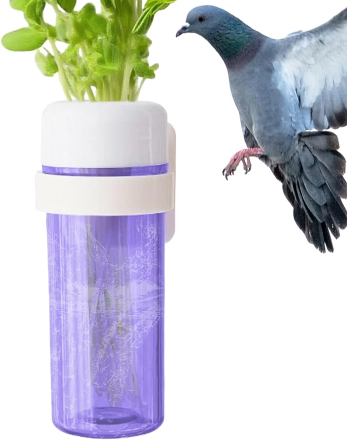 ظرف سبزیجات طوطی - ظرف غذای طوطی داخل قفس با طراحی ذخیره آب - سبزیجات را تازه نگه می دارد، لوازم تغذیه غذای پرندگان خانگی برای ماکائو، عروس هلندی، گنجشک، فنچ، مرغ عشق