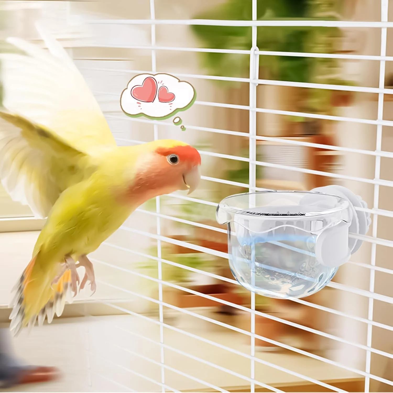 ظرف غذای پرنده | غذاخوری مرغ عشق | ظرف کوچک ضد ریزش برای غذا دادن، نوشیدن، قفس حمل و نقل، مرغ عشق، عروس هلندی، ماکائو، فضای داخلی، فضای باز، باغ