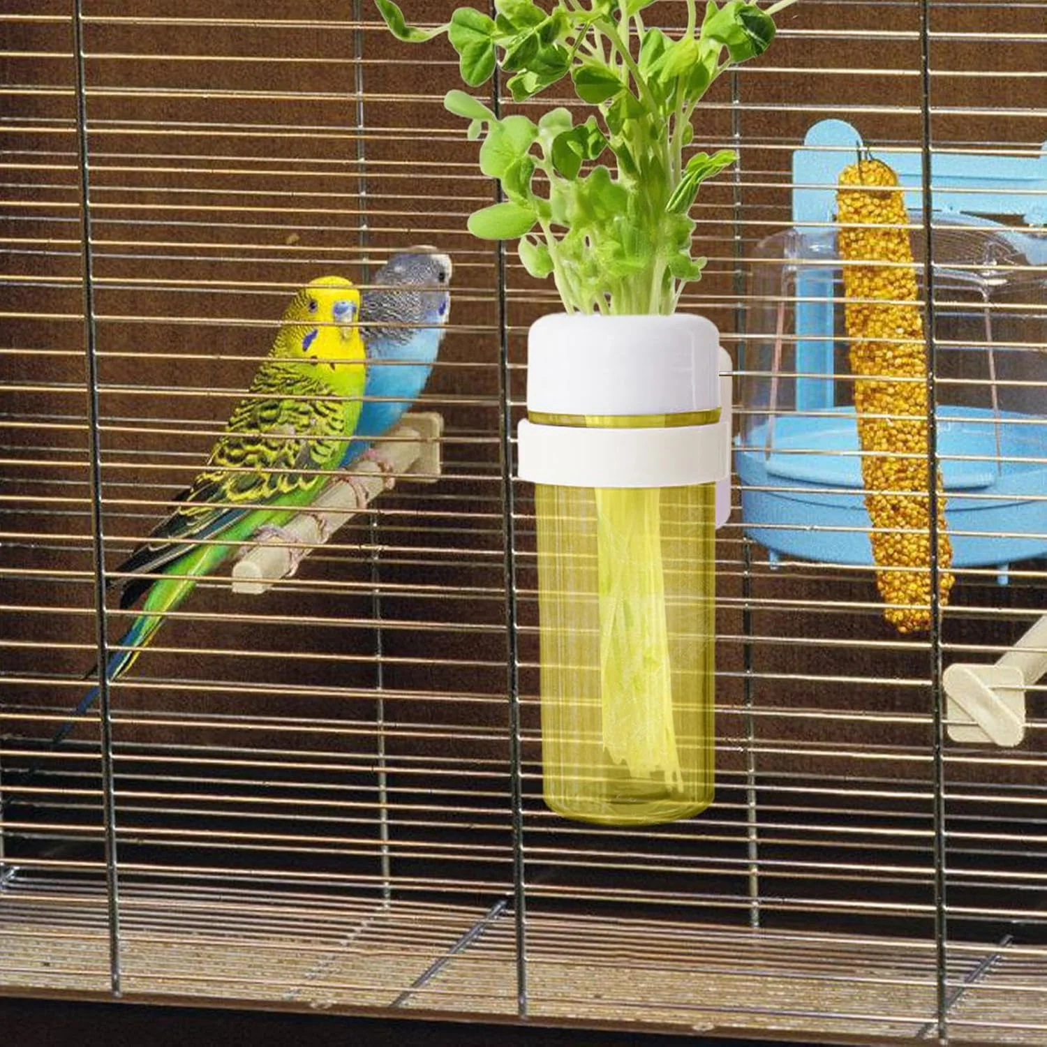 ظرف غذای سبزیجات قفس پرنده - نگهدارنده سبزیجات طوطی با طراحی ذخیره آب برای قفس - ظرف غذای پرنده خانگی برای ماکائو، گنجشک، فنچ، عروس هلندی و مرغ عشق