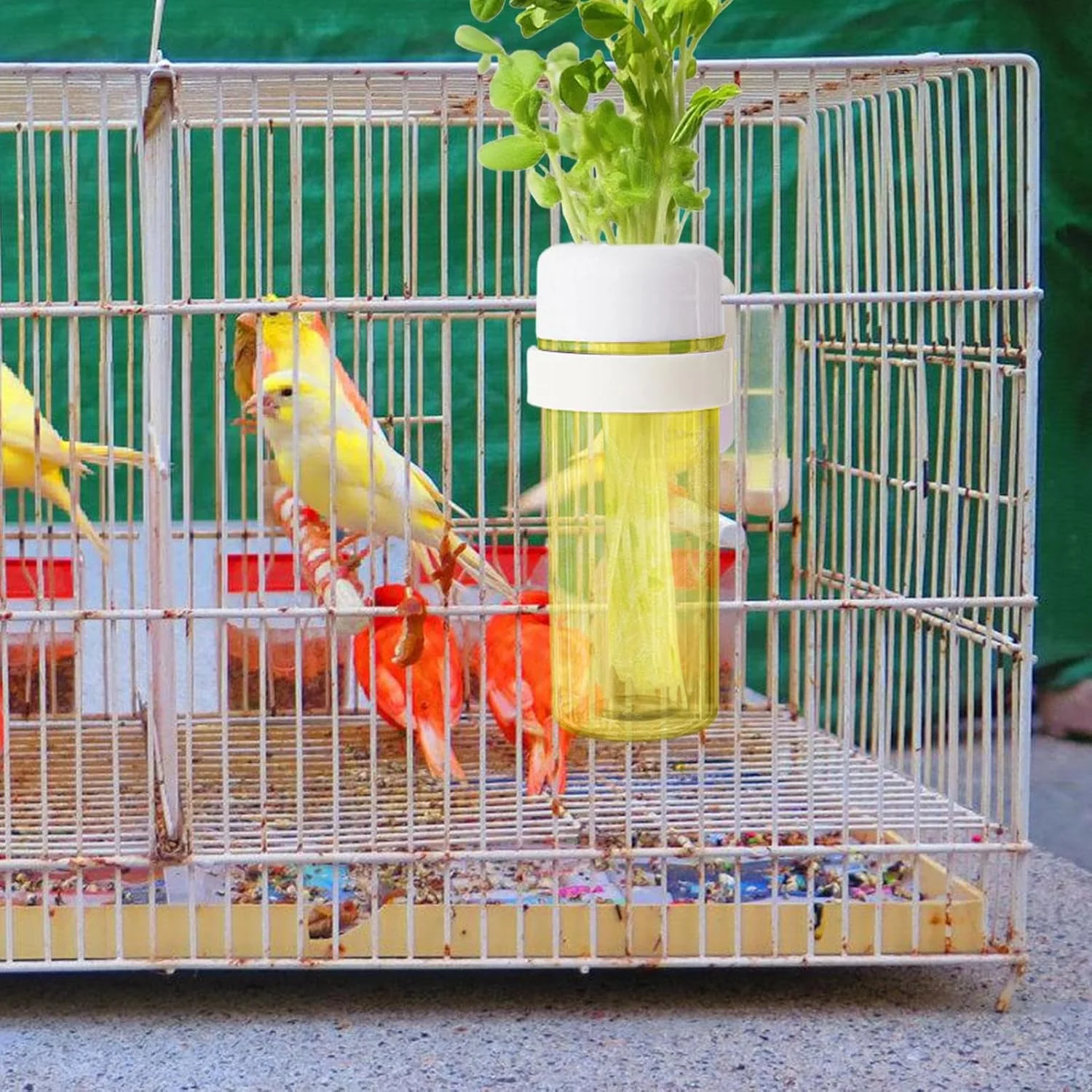 ظرف غذای قفس پرنده | فیدر با طراحی ذخیره آب برای طوطی ها، نصب آسان ظرف غذای پرنده خانگی برای مرغ عشق، گنجشک، فنچ، ماکائو، مرغ مینا