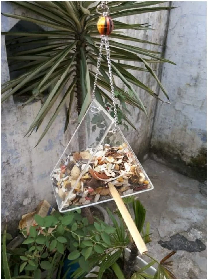 ظروف استیل ضد زنگ پرندگان با بست و مهره کرومی 887 میلی لیتر (30 اونس) - ست 2 عددی "مناسب برای ماکائو، طوطی خاکستری، کاکاتو، اکلکتوس، نوک شاخ، کبوتر" - ارسال با FedEx ظروف استیل ضد زنگ پرندگان با بست و مهره کرومی 887 میلی لیتر (30 اونس) - ست 2 عددی "مناسب برای ماکائو، طوطی خاکستری، کاکاتو، اکلکتوس، نوک شاخ، کبوتر" - ارسال با FedEx