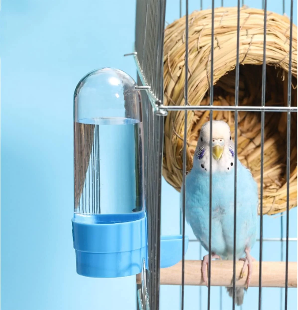 ظرف غذای اتوماتیک پرنده Cooci، بدون ریخت و پاش، ظرف دانه و غذا با میله نشیمن، لوازم جانبی قفس برای مرغ عشق، قناری، عروس هلندی، فنچ و پاراکیت