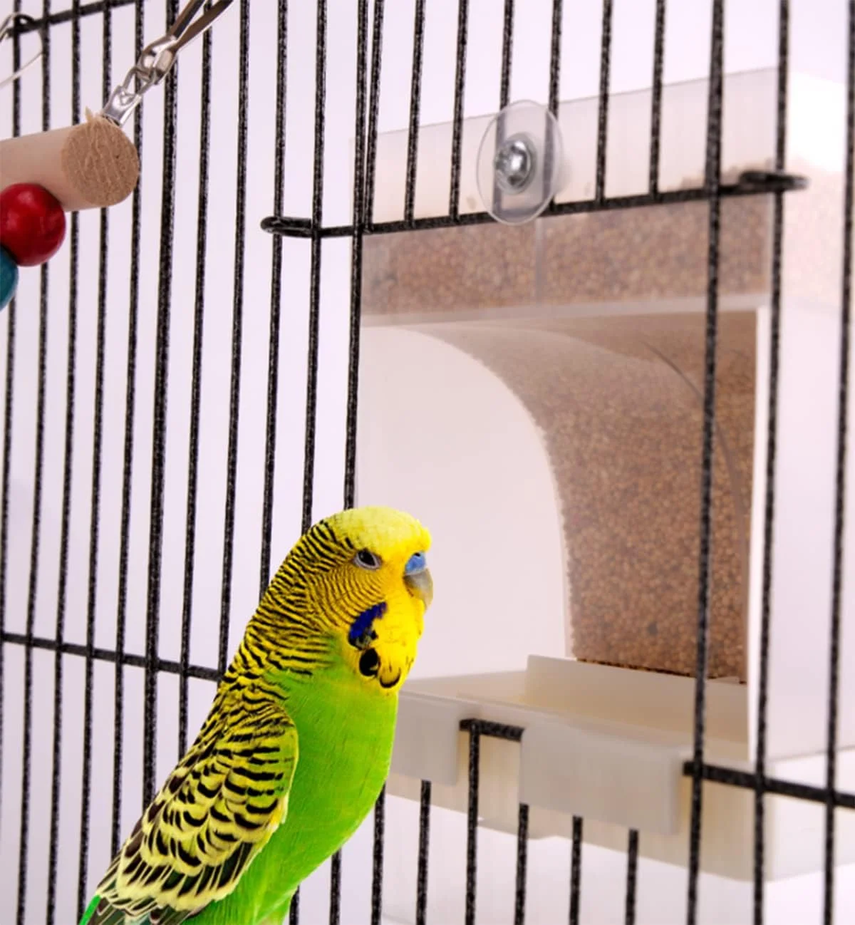 ظرف غذای اتوماتیک پرنده کوچی، بدون ریخت و پاش، ظرف دانه و غذا با میله نشیمن، لوازم جانبی قفس برای مرغ عشق، قناری، عروس هلندی، فنچ و پاراکیت