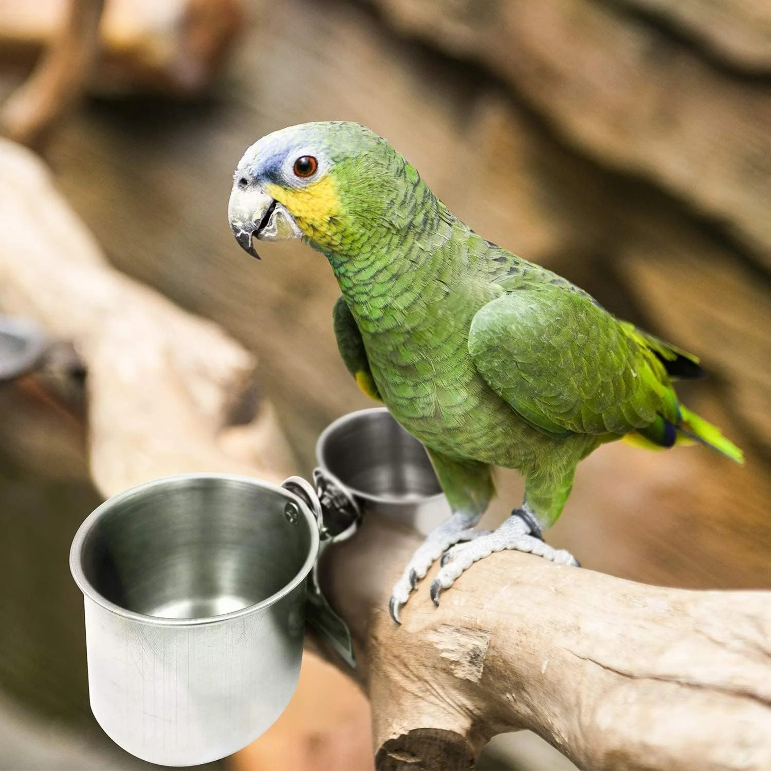 ظروف آبخوری پرنده ChicAbode، بسته 2 عددی، کاسه پرنده برای قفس، فنجان های قفس، آویز غذای طوطی، کاسه های قفس پرنده استیل ضد زنگ، پایه با گیره، مناسب برای تغذیه طوطی، نقره ای