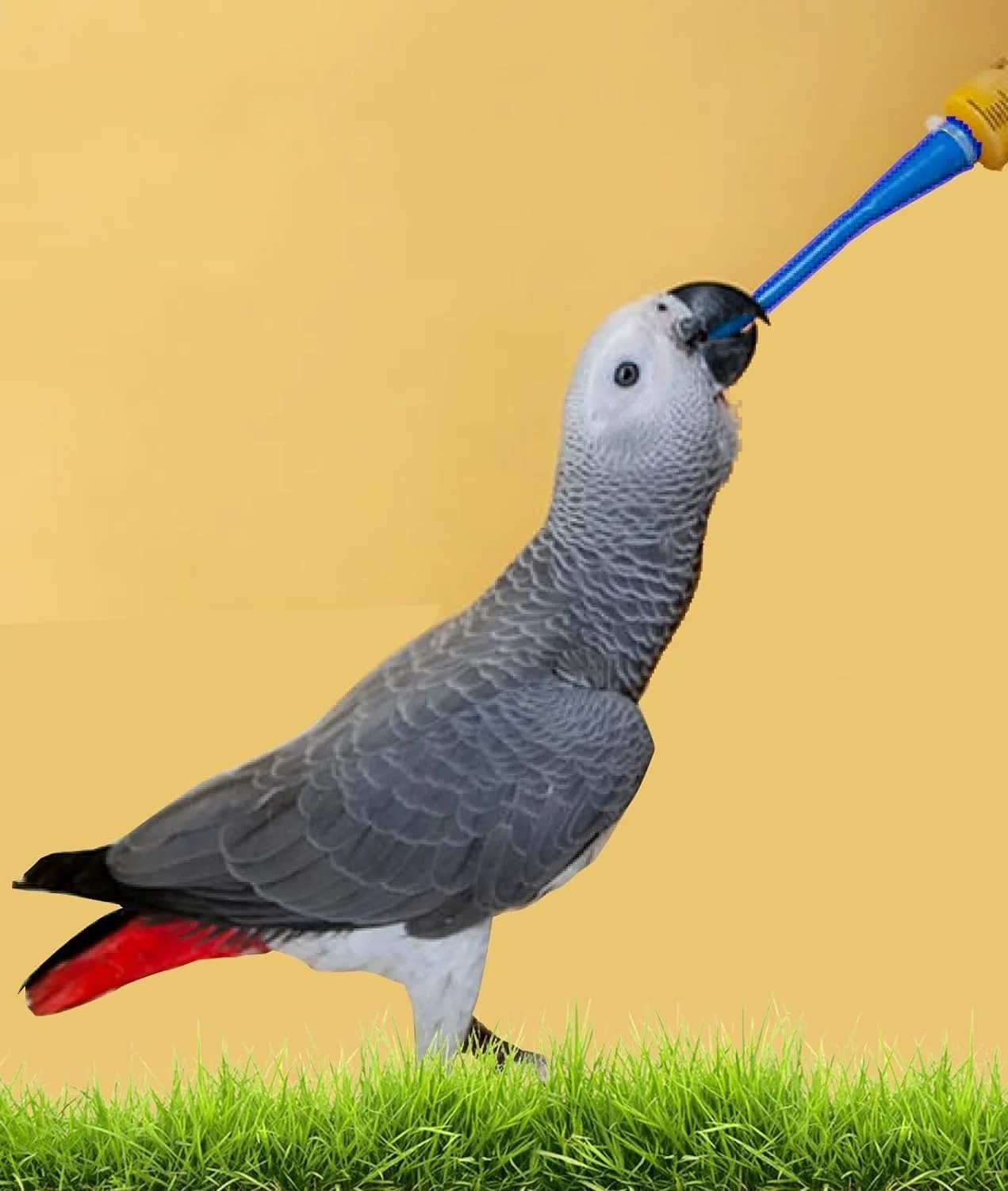 لوله های سیلیکونی تغذیه پرندگان Birds' Park سایز: 2 * 4 میلی متر قرمز - مناسب برای مرغ عشق، کانور، طوطی خاکستری و پرندگان شکاری لوله های سیلیکونی تغذیه پرندگان Birds' Park سایز: 2 * 4 میلی متر قرمز - مناسب برای مرغ عشق، کانور، طوطی خاکستری و پرندگان شکاری