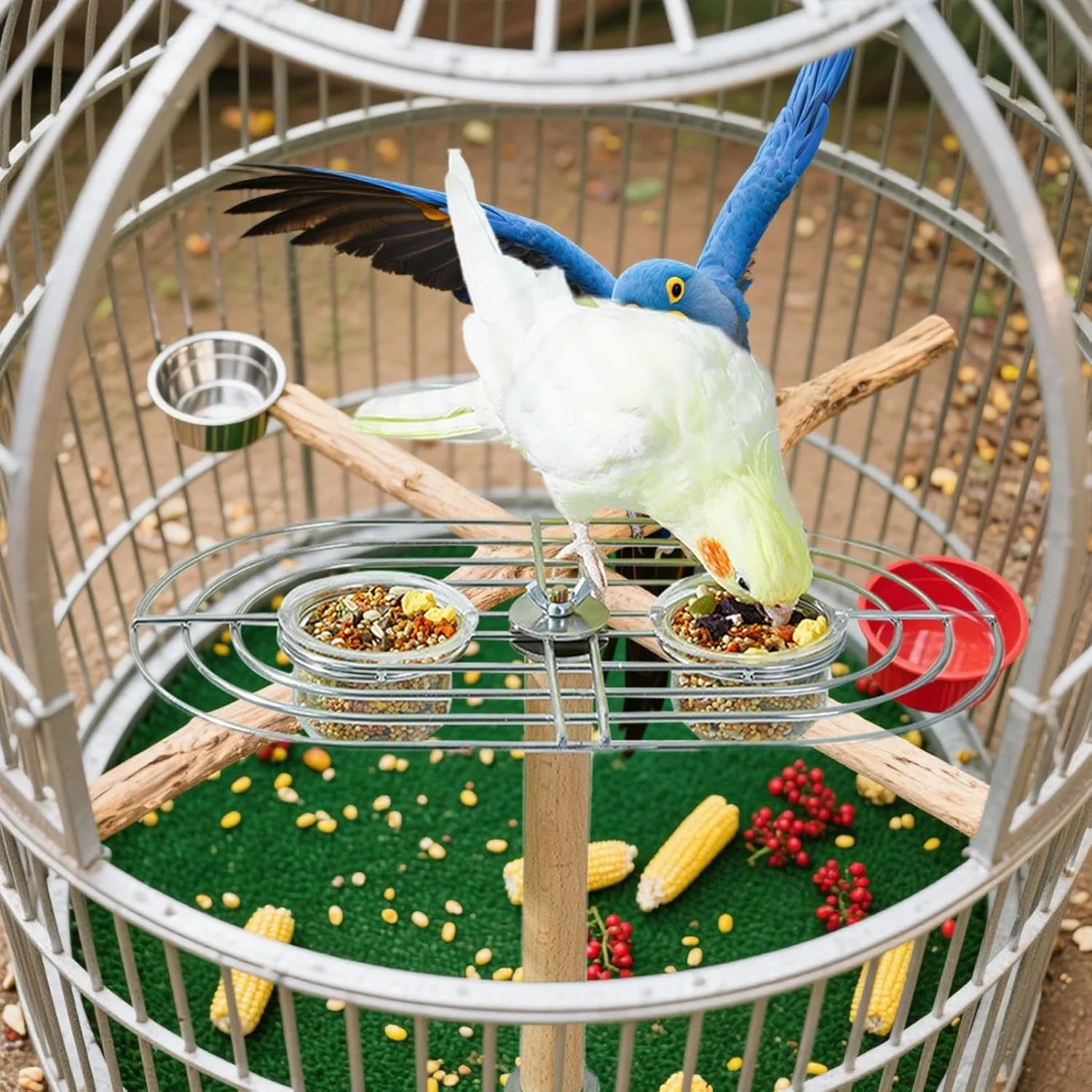 کاسه غذای پرنده - پایه فنجان تغذیه طوطی - خوراک دهنده پرنده آویز شفاف برای فنچ ها، عروس هلندی ها، ماکائو ها، کانورها، مرغ عشق ها، شهدخوارها، بالکن، حیاط خلوت، باغ، پاسیو