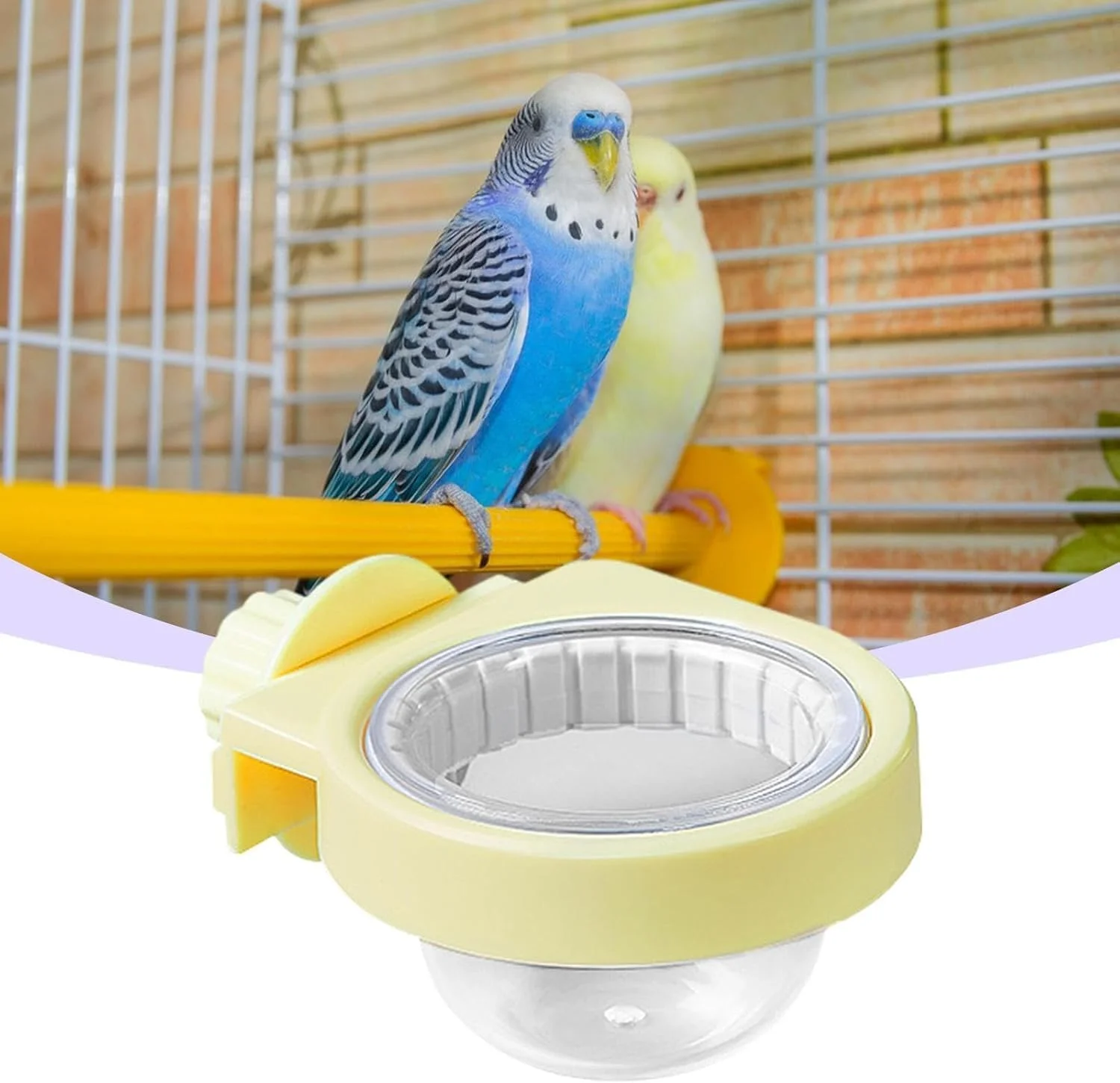 کاسه غذای پرنده - فنجان های بزرگ ظرف غذای پرنده لوازم جانبی قفس چینچیلا، کاسه غذای حیوانات کوچک، آبخوری حیوانات خانگی برای طوطی کوتوله برزیلی
