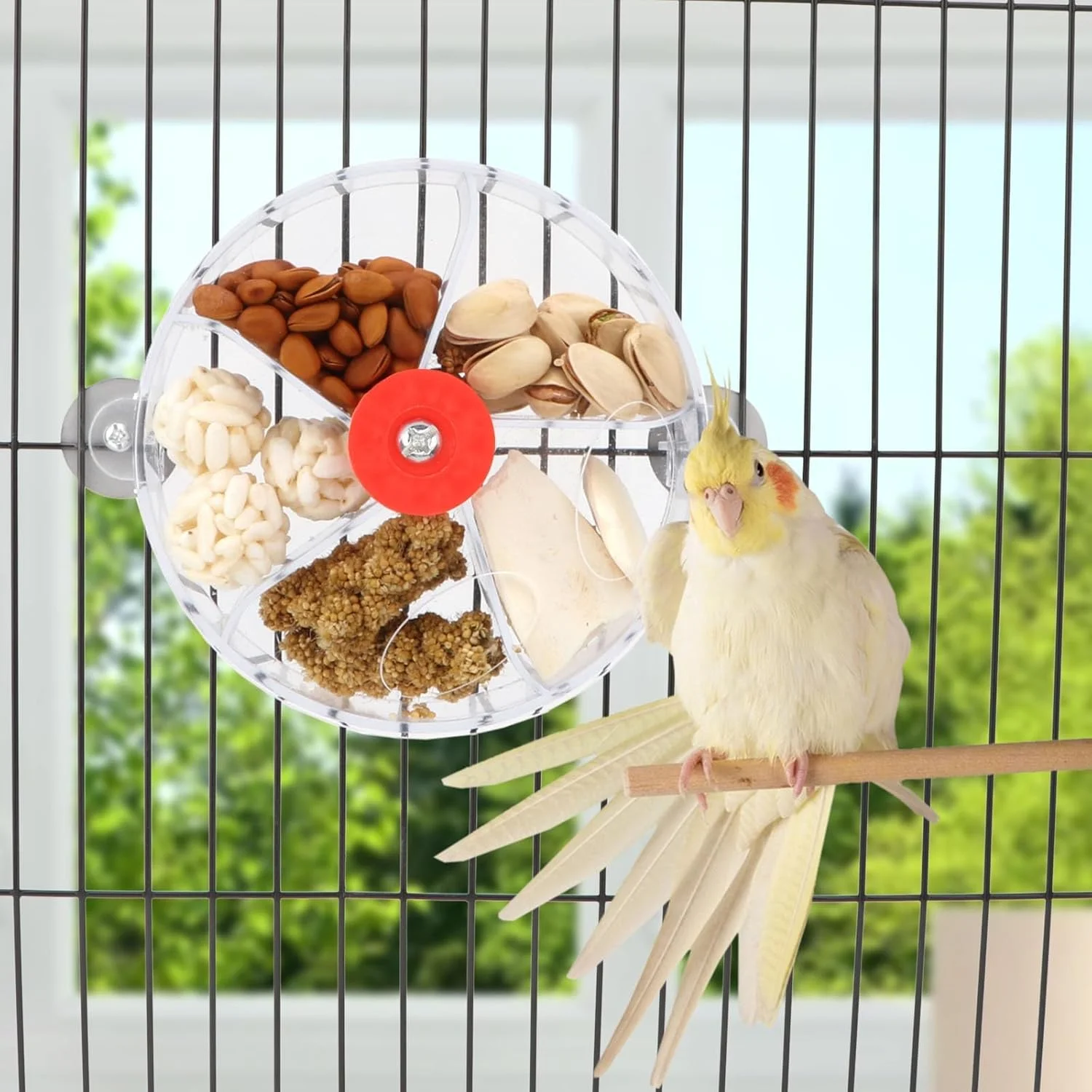اسباب بازی غذایابی شفاف پرنده BIGTHREE برای طوطی ها - توپ دانه چرخان، فعالیت تحریک ذهنی برای کانور، عروس هلندی، پرندگان کوچک (شفاف) اسباب بازی غذایابی شفاف پرنده BIGTHREE برای طوطی ها - توپ دانه چرخان، فعالیت تحریک ذهنی برای کانور، عروس هلندی، پرندگان کوچک (شفاف)