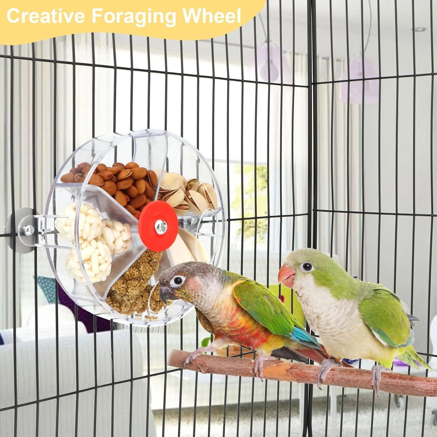 اسباب بازی غذایابی شفاف پرنده BIGTHREE برای طوطی ها - توپ دانه چرخان، فعالیت تحریک ذهنی برای کانور، عروس هلندی، پرندگان کوچک (شفاف) اسباب بازی غذایابی شفاف پرنده BIGTHREE برای طوطی ها - توپ دانه چرخان، فعالیت تحریک ذهنی برای کانور، عروس هلندی، پرندگان کوچک (شفاف)