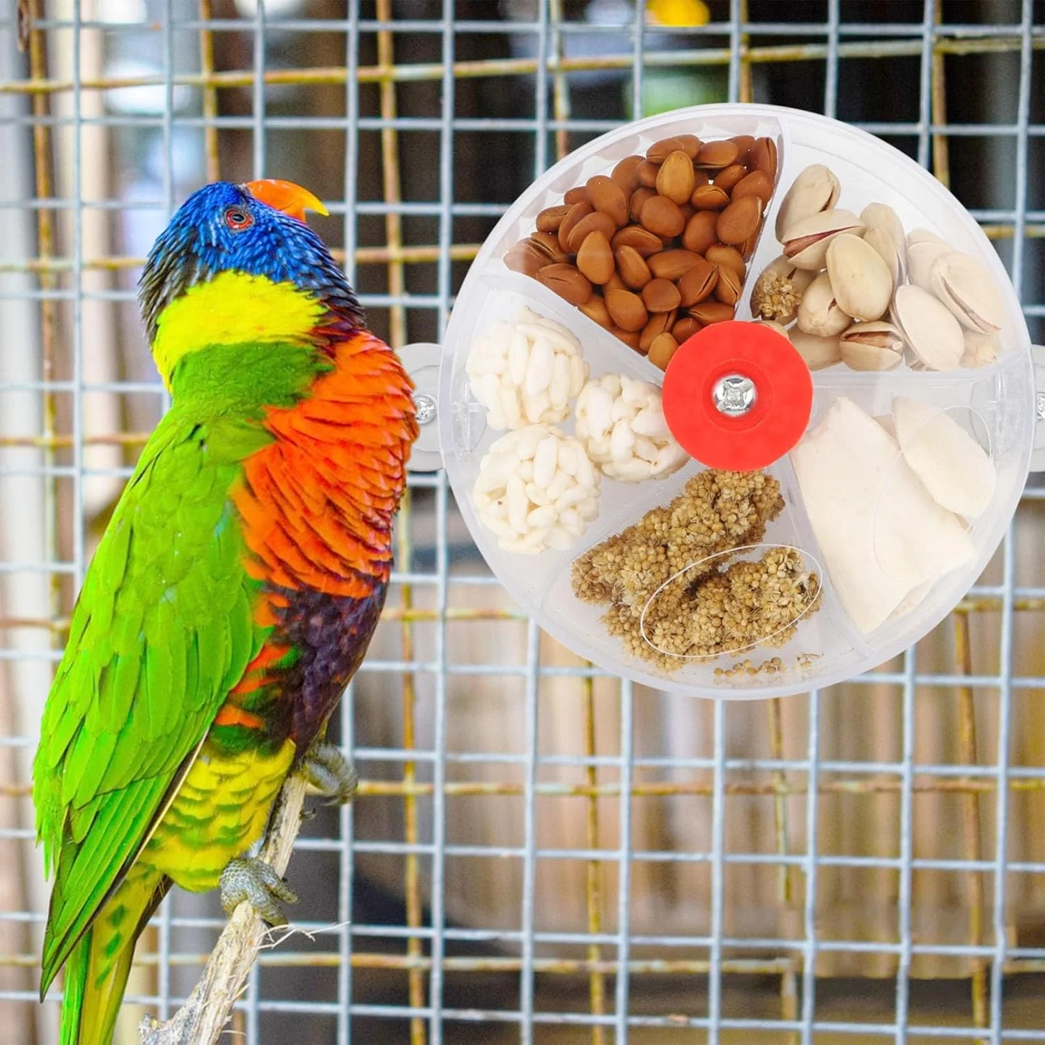 اسباب بازی غذایابی شفاف پرنده BIGTHREE برای طوطی ها - توپ دانه چرخان، فعالیت تحریک ذهنی برای کانور، عروس هلندی، پرندگان کوچک (شفاف) اسباب بازی غذایابی شفاف پرنده BIGTHREE برای طوطی ها - توپ دانه چرخان، فعالیت تحریک ذهنی برای کانور، عروس هلندی، پرندگان کوچک (شفاف)