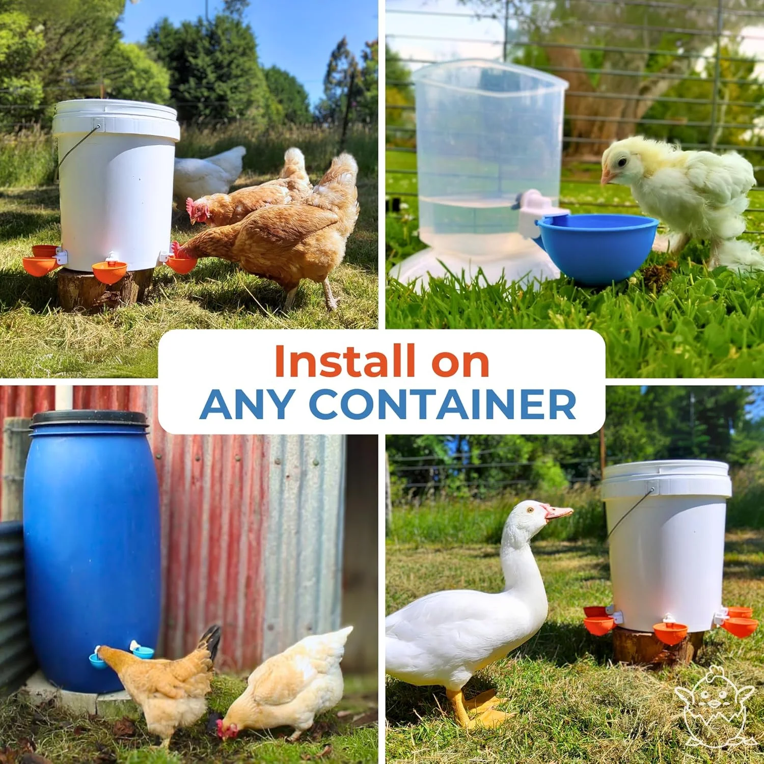 (بسته 5 عددی) فنجان های آبخوری اتوماتیک بزرگ Lil' Clucker | سیستم آبخوری اتوماتیک برای مرغ، اردک، غاز، بوقلمون و غیره | کیت آبخوری (بسته 5 عددی) فنجان های آبخوری اتوماتیک بزرگ Lil' Clucker | سیستم آبخوری اتوماتیک برای مرغ، اردک، غاز، بوقلمون و غیره | کیت آبخوری