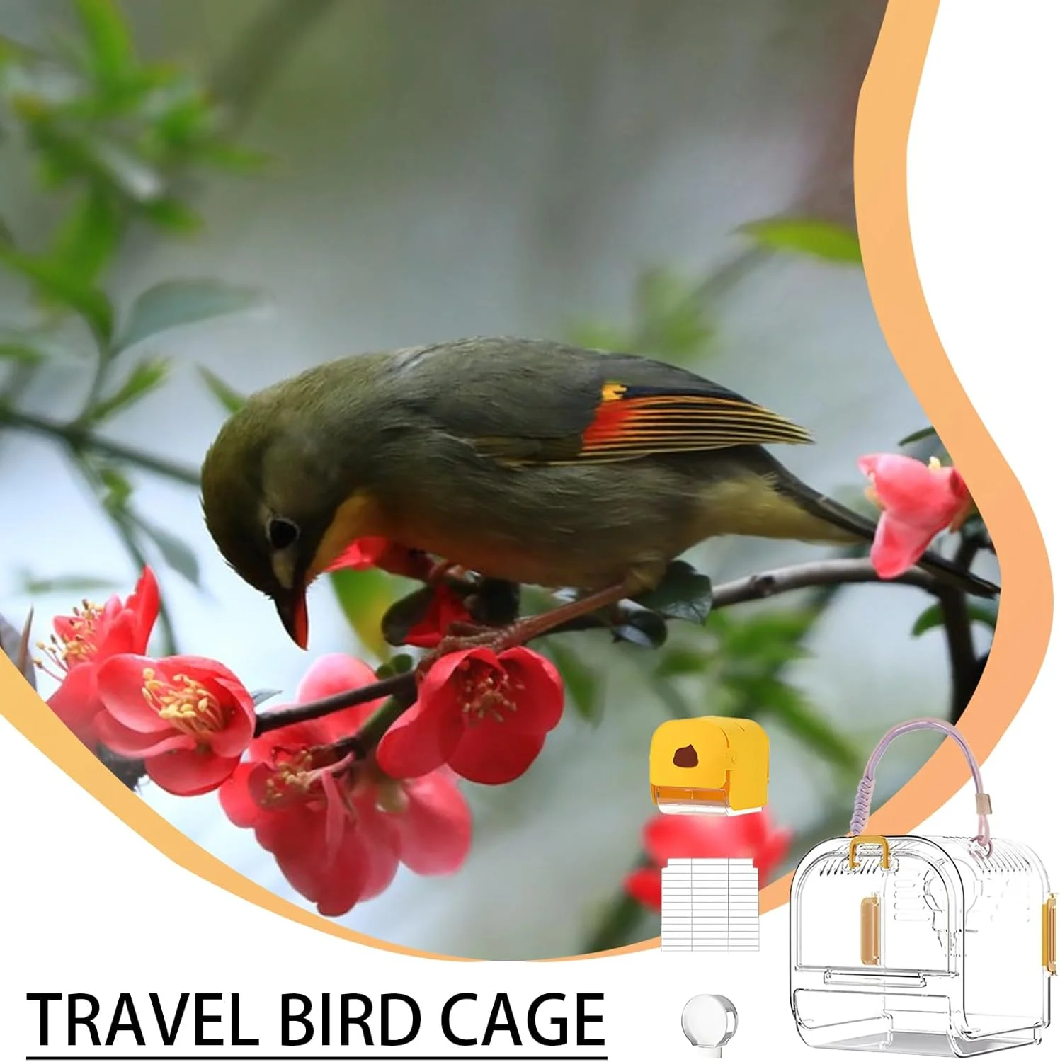 کیج حمل پرنده | کیج مسافرتی کوچک و قابل حمل طوطی - لوازم بازی حیوانات خانگی، زیستگاه تاشو پرنده برای مرغ عشق، کانور، باجریگار، عروس هلندی و ماکائو