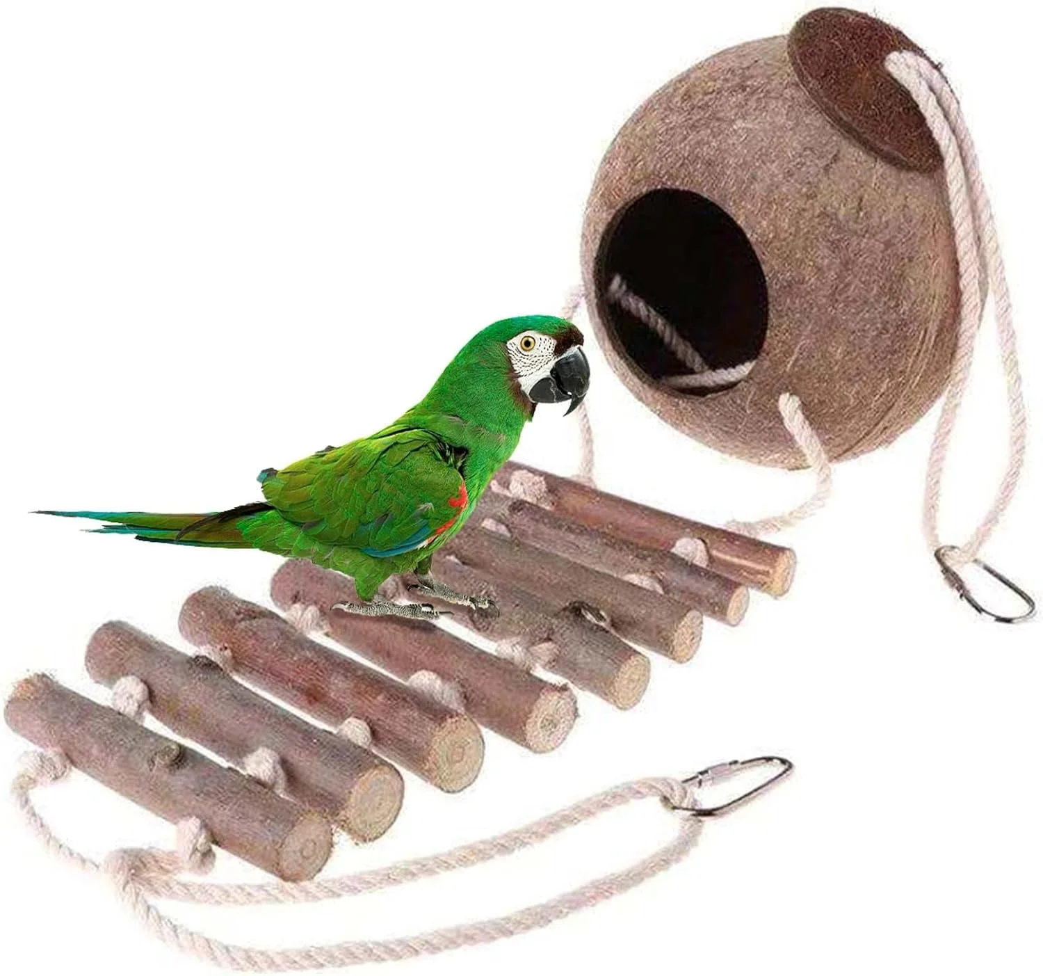 لانه پرنده طبیعی TERRIFI با نردبان، لانه پرنده از جنس پوسته نارگیل طبیعی، خانه طوطی، خانه پرنده فیبر نارگیل اگزوتیک برای مرغ عشق، فنچ، لاوبرد، همستر و قفس سنجاب های کوچک برای جوجه کشی لانه پرنده طبیعی TERRIFI با نردبان، لانه پرنده از جنس پوسته نارگیل طبیعی، خانه طوطی، خانه پرنده فیبر نارگیل اگزوتیک برای مرغ عشق، فنچ، لاوبرد، همستر و قفس سنجاب های کوچک برای جوجه کشی