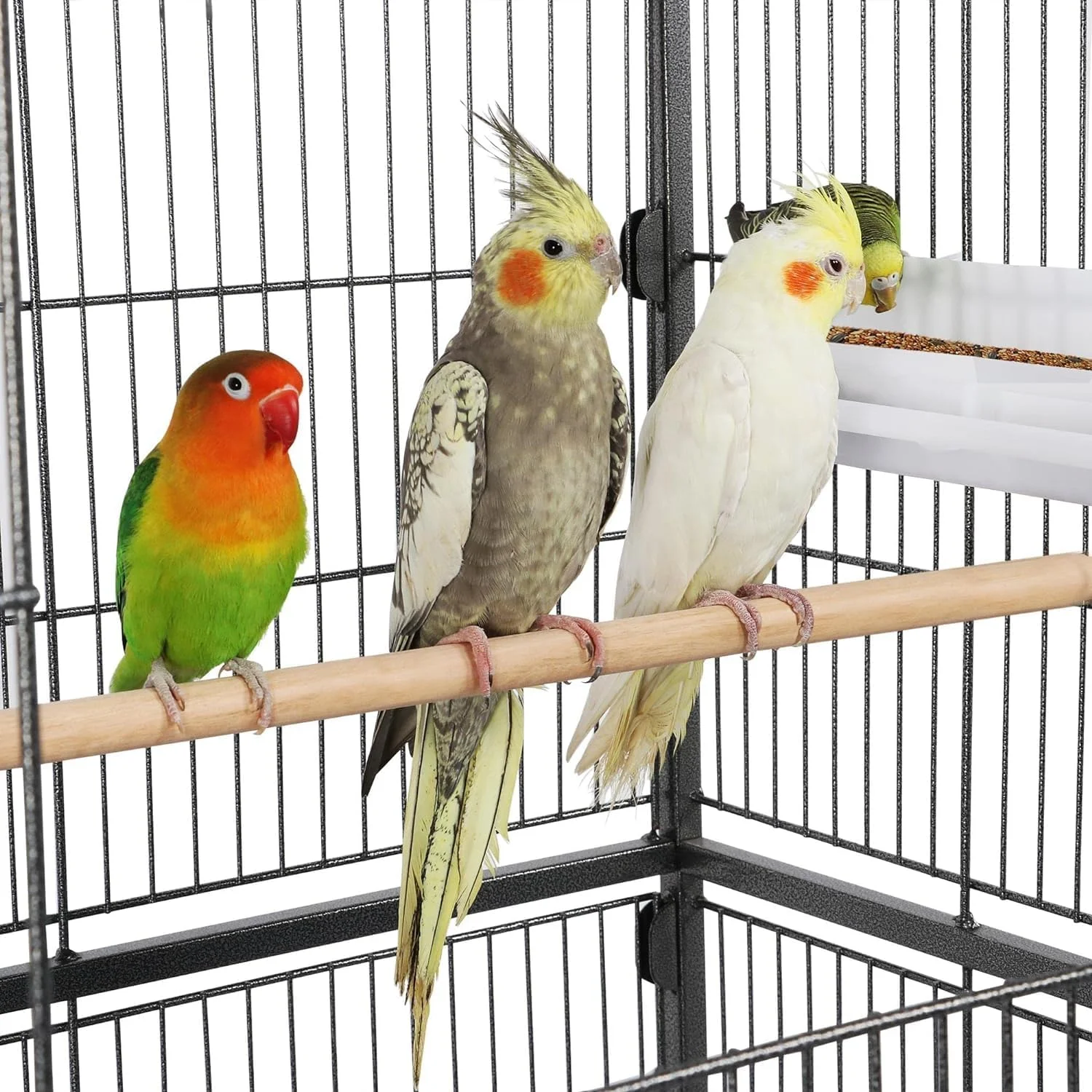قفس پرنده TDOO سایز 47 اینچ، قفس پرواز پرنده با پایه چرخ دار و سینی زیرین، قفس پرنده آهنی فرفورژه برای مرغ عشق، طوطی، مرغ مینا، کبوتر، عروس هلندی، ماکائو قفس پرنده TDOO سایز 47 اینچ، قفس پرواز پرنده با پایه چرخ دار و سینی زیرین، قفس پرنده آهنی فرفورژه برای مرغ عشق، طوطی، مرغ مینا، کبوتر، عروس هلندی، ماکائو