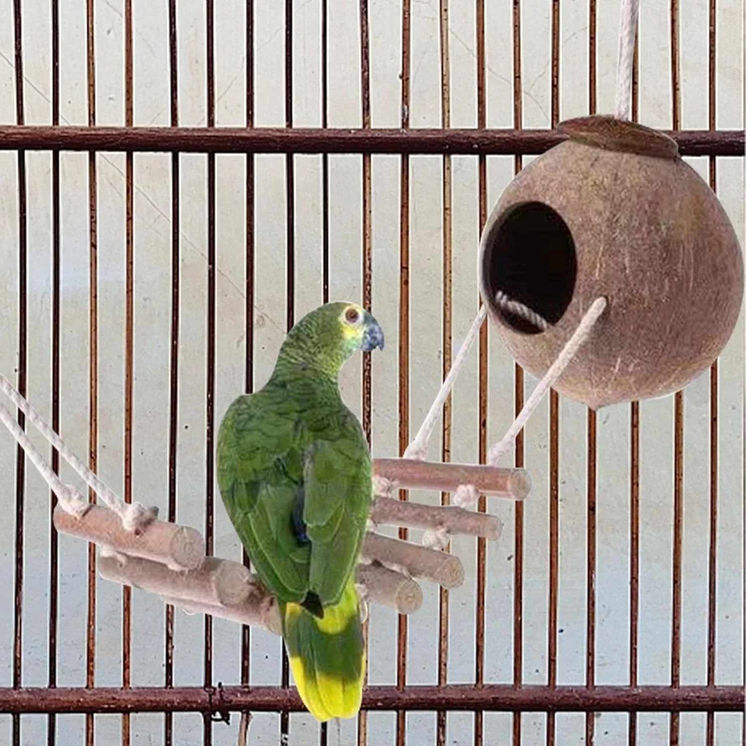 لانه پرنده طبیعی TERRIFI با نردبان، لانه پرنده از جنس پوسته نارگیل طبیعی، خانه طوطی، خانه پرنده فیبر نارگیل اگزوتیک برای مرغ عشق، فنچ، لاوبرد، همستر و قفس سنجاب های کوچک برای جوجه کشی