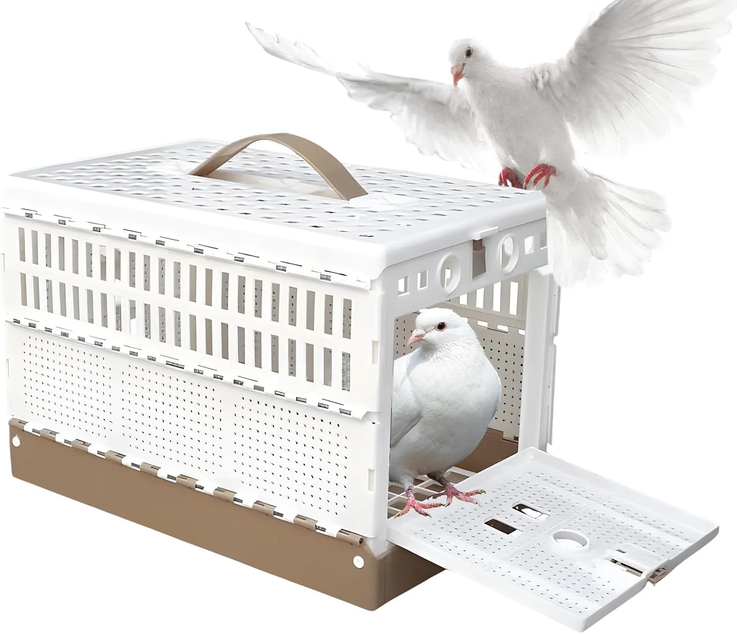 قفس پرنده کوچک | قفس تاشو با قفل دوبل - لانه حمل پرنده طوطی، برای آموزش و اهلی کردن در فضای داخلی، فضای باز، حمل و نقل، حیاط و مسابقات