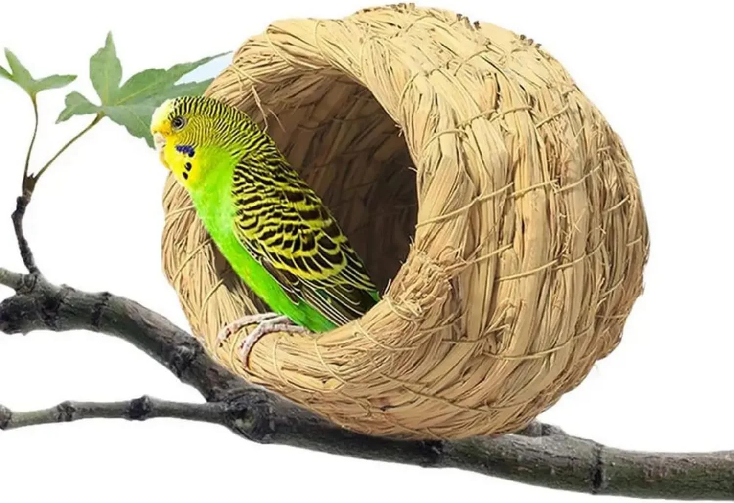 آشیانه پرنده حصیری دست ساز طبیعی SKEIDO، خانه کبوتر، آشیانه طوطی، اتاق خواب گرم حیوانات خانگی، قفس پرندگان کوچک حیاط - سایز L