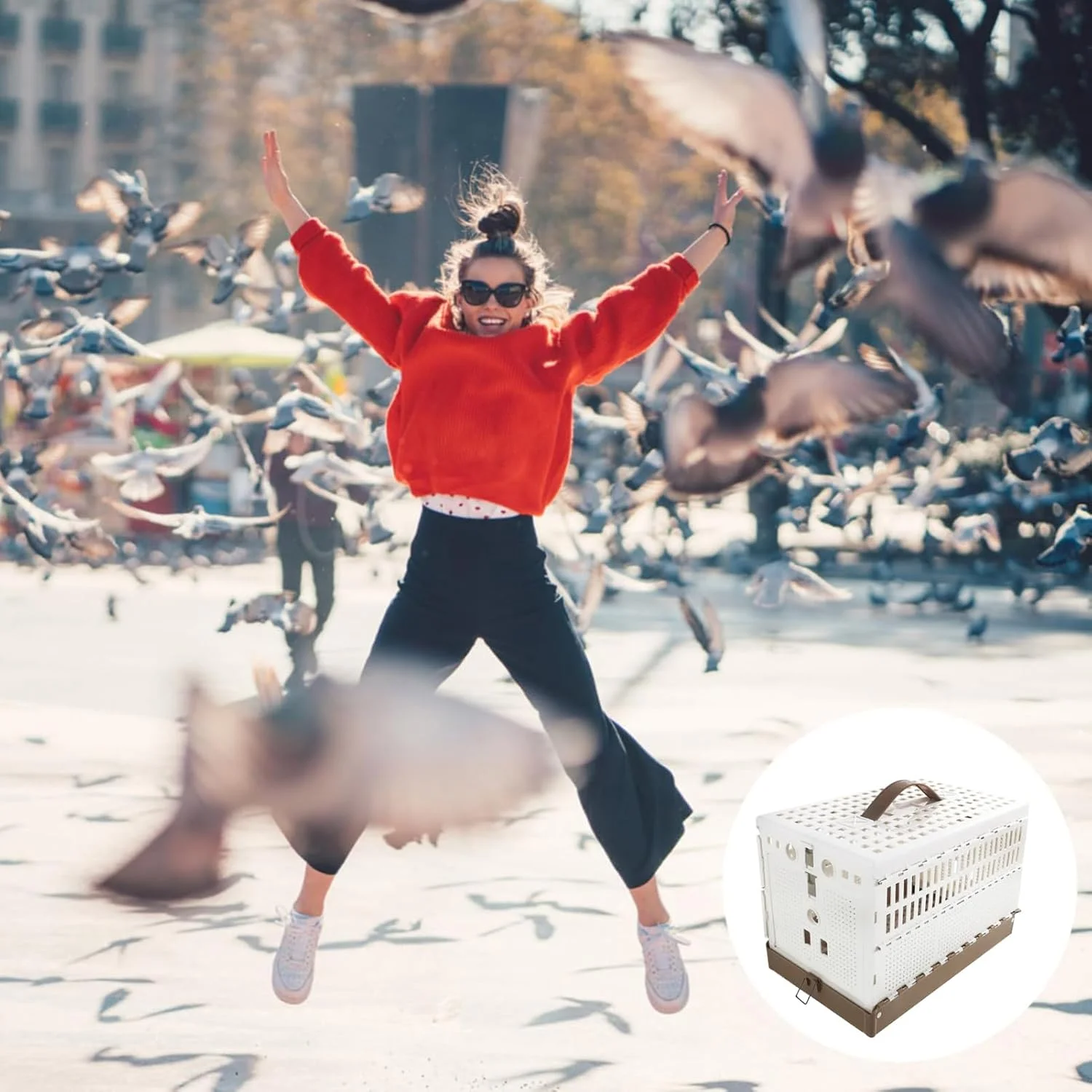 قفس کوچک پرنده، قفس تاشو ضد فرار - جعبه لانه پرنده، برای آموزش، اهلی کردن، مسابقه در فضای داخلی و خارجی