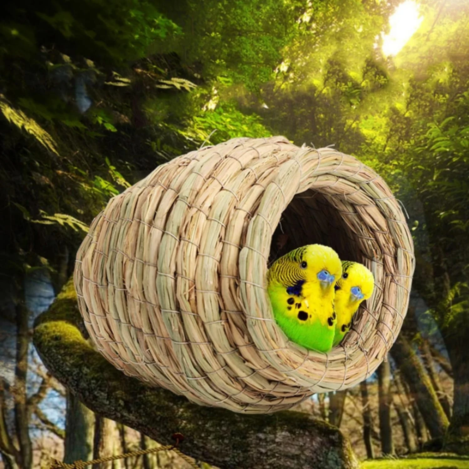 آشیانه پرنده حصیری دست ساز طبیعی SKEIDO، خانه کبوتر، آشیانه طوطی، اتاق خواب گرم حیوانات خانگی، قفس پرندگان کوچک حیاط - سایز L