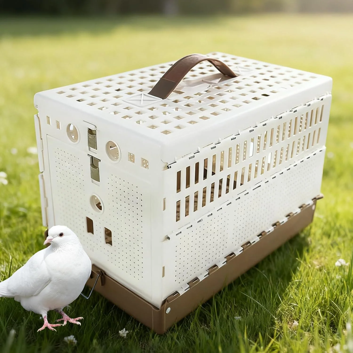 قفس کوچک پرنده، قفس تاشو ضد فرار - جعبه لانه پرنده، برای آموزش، اهلی کردن، مسابقه در فضای داخلی و خارجی