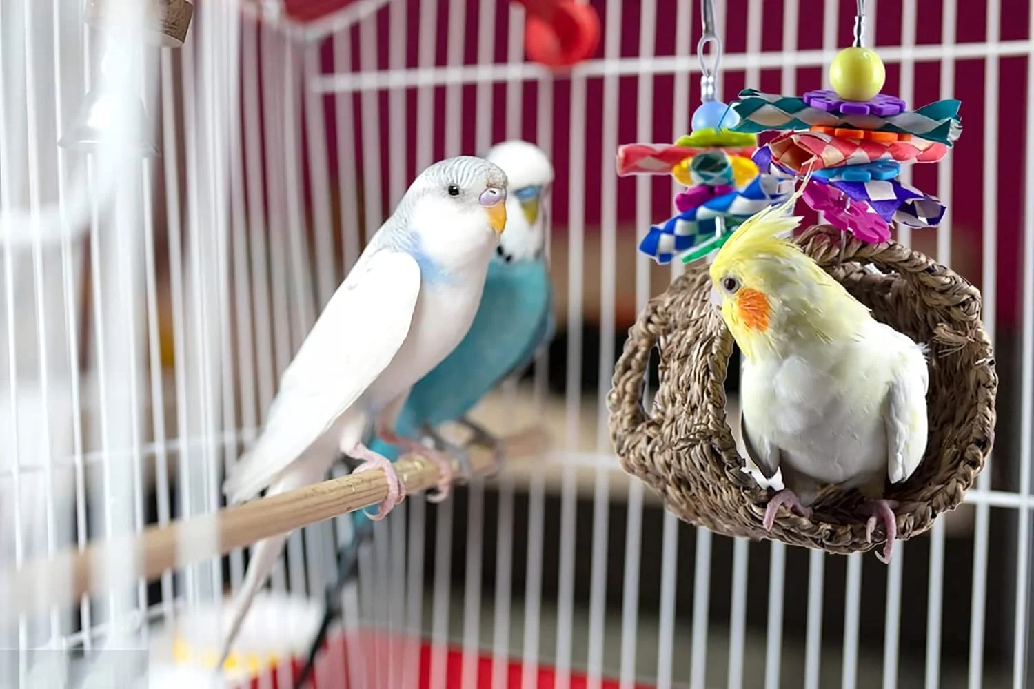 خانه پرنده از علف دریایی، لانه طوطی، چادر علف دریایی، لانه سایه انداز، تونل لانه، تاب بالا رفتن، اسباب بازی حصیری، لانه تاب آویز طبیعی، کلبه دنج پرنده مناسب برای طوطی، همستر