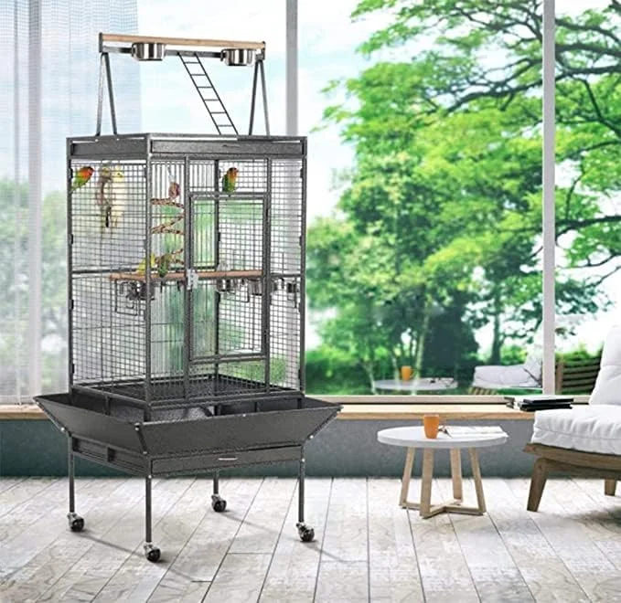 قفس بزرگ پرنده با روکش مشکی، ویلای پرنده با پایه چرخ دار، قفس مناسب برای طوطی، چینچیلا، فنچ، ویلای پرنده، مناسب برای ماکائو، کانور، کاکتیل، کاکادو، خانه حیوانات خانگی، قفس پرنده از جنس آهن فرفورژه، مشکی (172 سانتی متر)