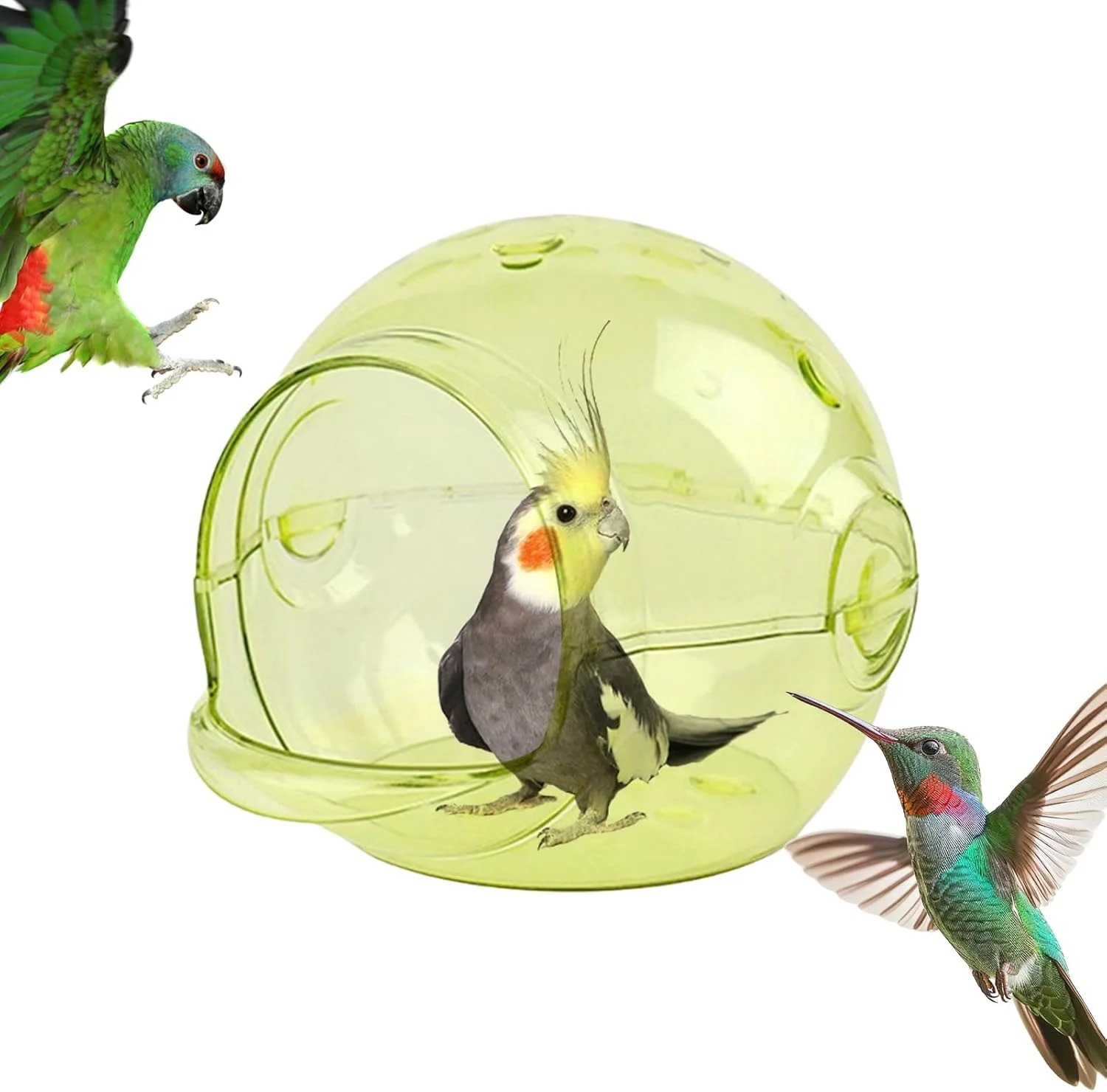 لانه پرنده برای قفس | لانه طوطی برای تخم گذاری، پرورش و خوابیدن، لوازم جانبی قفس پناهگاه پرورش برای فنچ، مرغ عشق، همستر، کانور، عروس هلندی، مرغ عشق و حیوانات کوچک