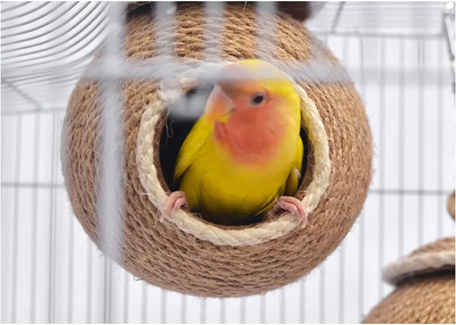 لانه پرنده از جنس پوسته نارگیل طبیعی، خانه طوطی، لانه بافته شده با طناب برای مرغ عشق، عروس هلندی، کانور، فنچ، مرغ مینا، همستر و سنجاب های کوچک، جعبه لانه سازی