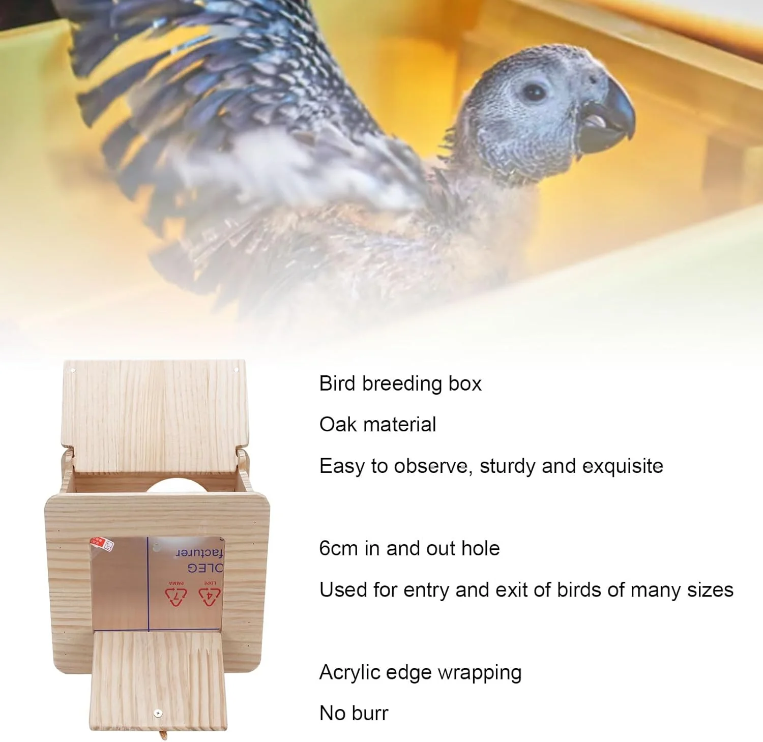 جعبه لانه پرنده، جعبه پرورش طوطی برزیلی بصری، خانه قفس پرنده چوبی بلوط، جعبه عایق در فضای باز برای فنچ، مرغ عشق، عروس هلندی، مرغ عشق استرالیایی، طوطی کوتوله