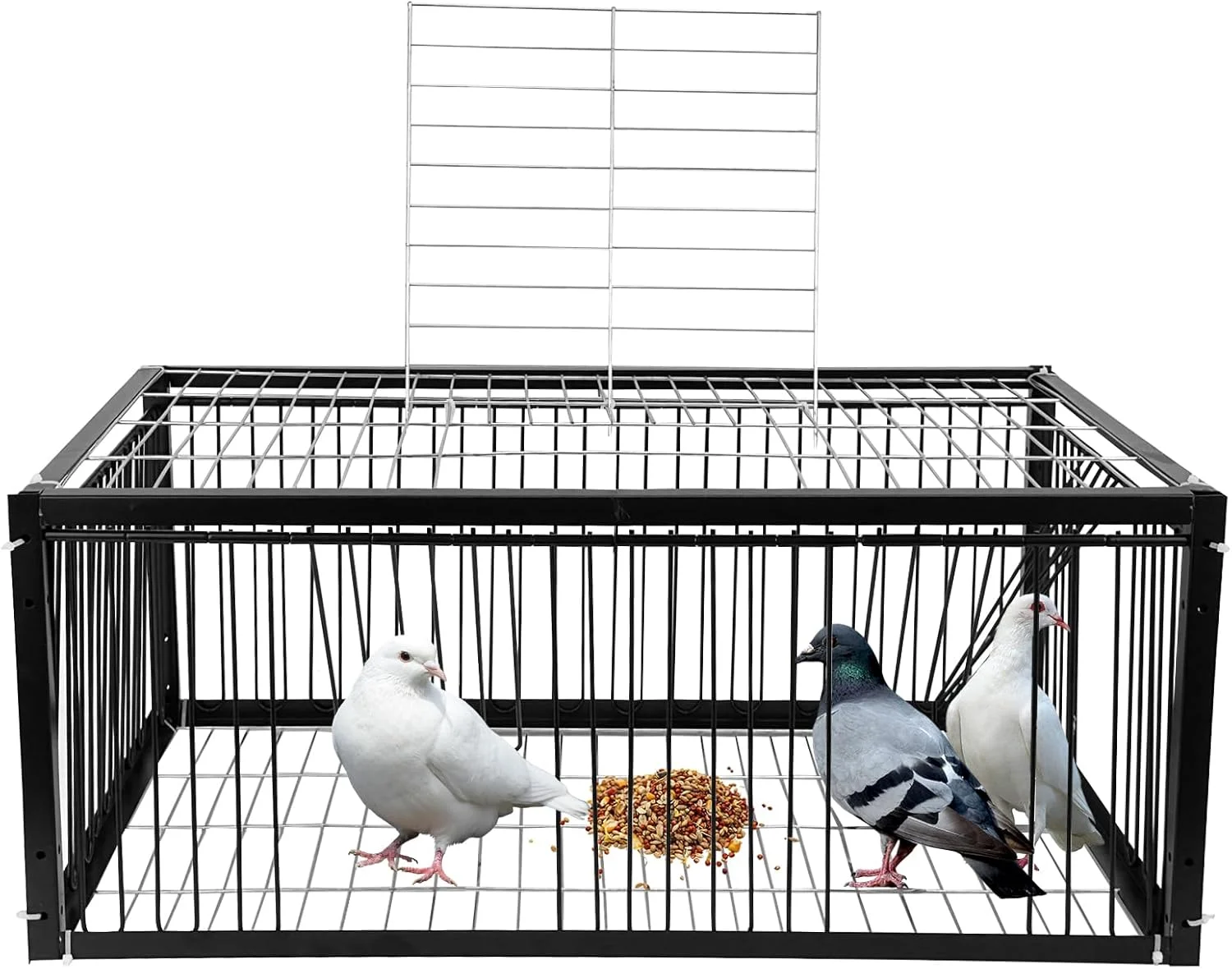 تله قفس کبوتر، قفس پرنده با ورود یک طرفه (4 درب)، قفس تاشو برای گرفتن پرنده برای باغ های داخلی و خارجی، پشت بام ها و پاسیوها، 60 * 40 * 26 سانتی متر