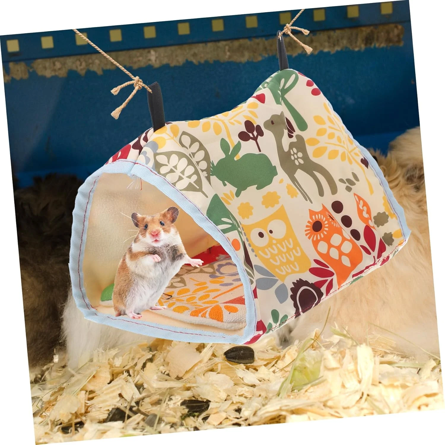خانه لانه پرنده Oasisgalore، تخت آویز لانه پرنده مثلثی فوسا برای طوطی، پارچه چند رنگ خانه لانه پرنده Oasisgalore، تخت آویز لانه پرنده مثلثی فوسا برای طوطی، پارچه چند رنگ