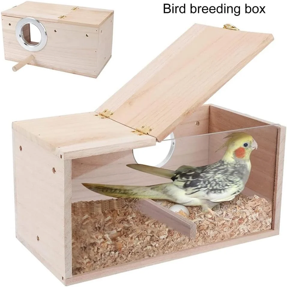 خانه لانه سازی پرندگان با نشیمنگاه چوبی، LORYFOOD، دسترسی از طریق سوراخ، لانه سازی، قوی، بادوام، ارتفاع 15 سانتی متر، غذای کامل برای لوری ها و لوریکیت ها