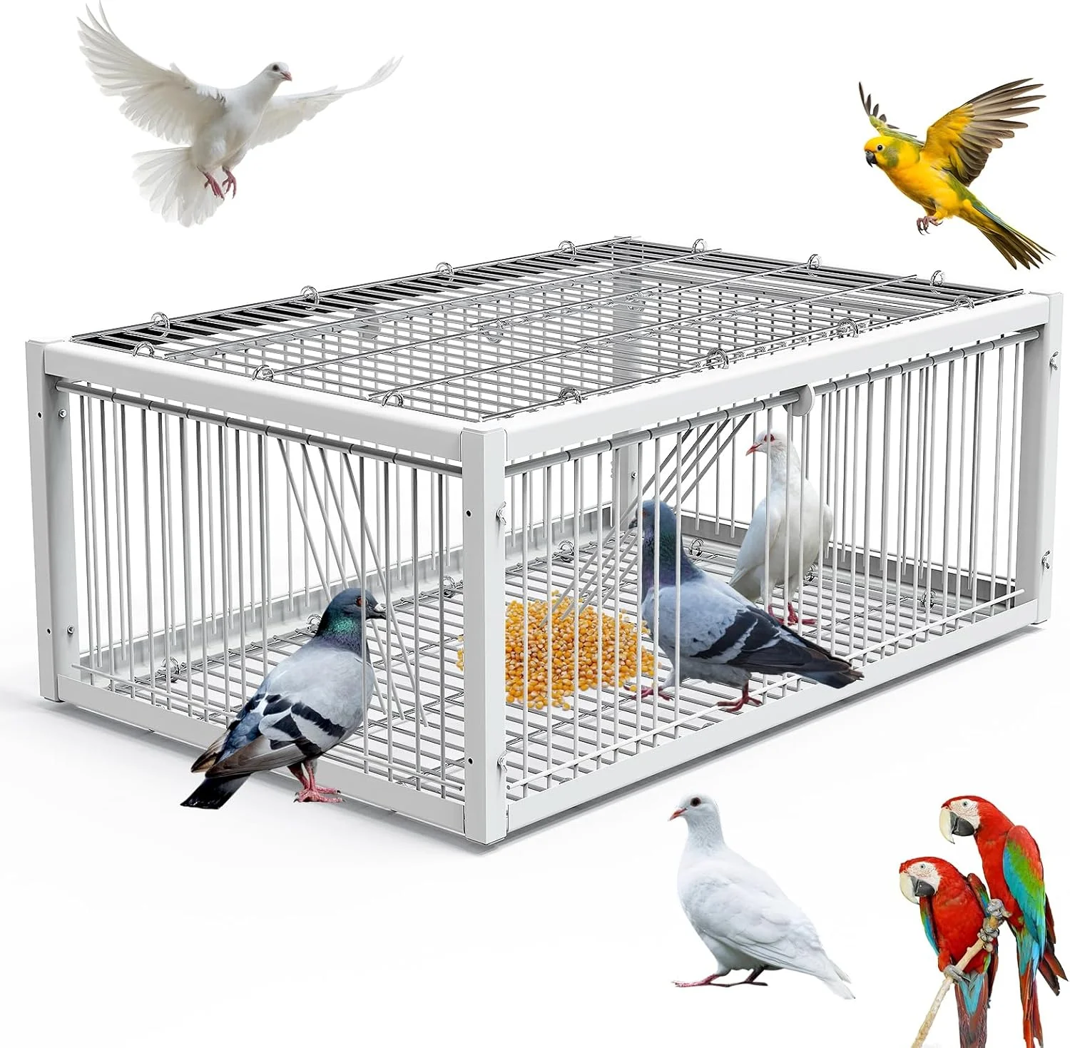 تله پرنده MOGOULUA، قفس کبوتر، ضد فرار، اتوماتیک، قفس صید کبوتر مسابقه ای، قفس پرنده اتوماتیک، درب ورودی یک طرفه برای کبوترها، طوطی ها، پرندگان، باغ ها، پشت بام ها، پاسیوها، 64x44x26 سانتی متر تله پرنده MOGOULUA، قفس کبوتر، ضد فرار، اتوماتیک، قفس صید کبوتر مسابقه ای، قفس پرنده اتوماتیک، درب ورودی یک طرفه برای کبوترها، طوطی ها، پرندگان، باغ ها، پشت بام ها، پاسیوها، 64x44x26 سانتی متر