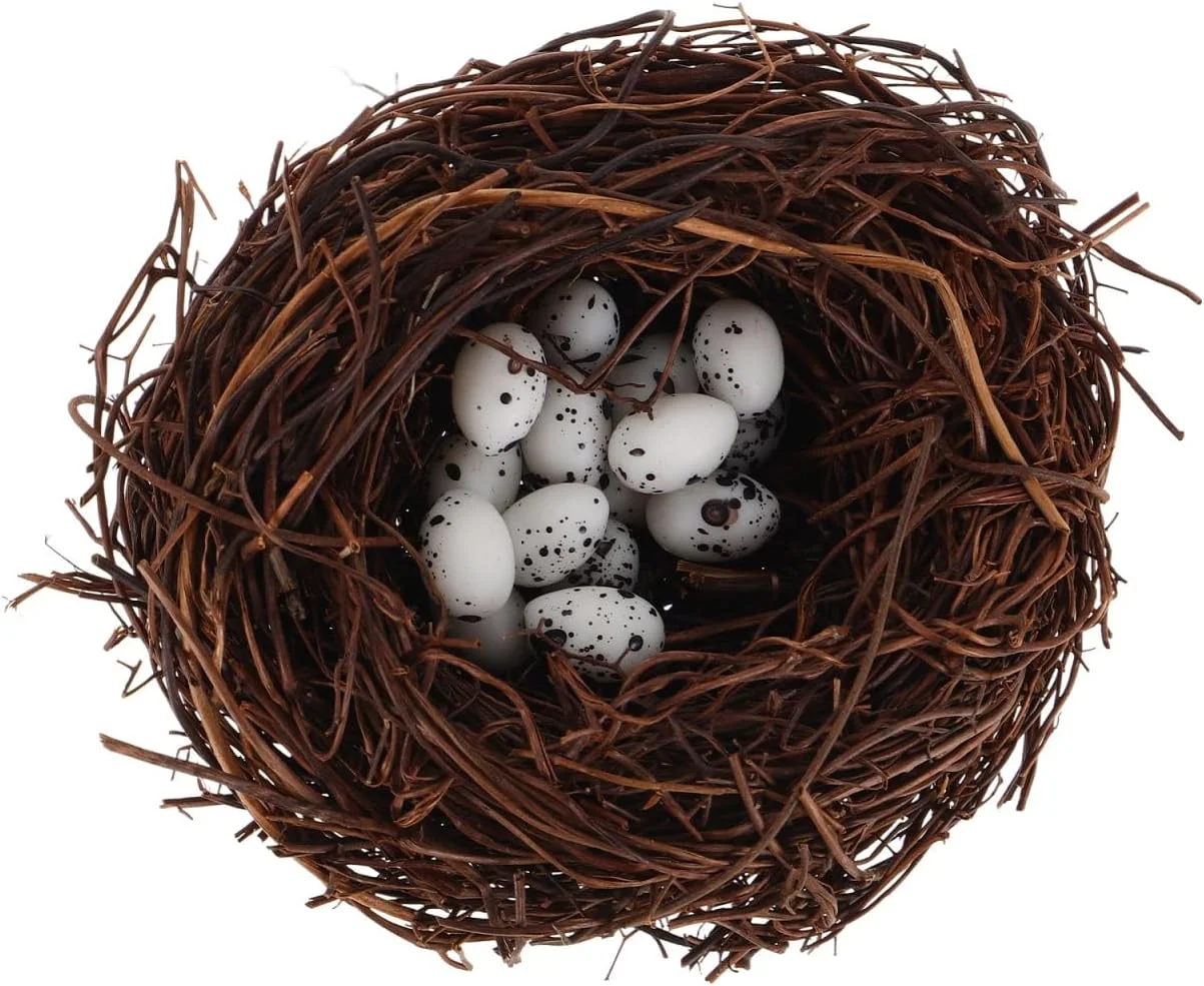 ست لانه پرنده عید پاک MOLUCKFU، لانه حصیری مینیاتوری با تخم مرغ های مصنوعی، دکور باغ، لانه پرندگان، تزیین میز ست لانه پرنده عید پاک MOLUCKFU، لانه حصیری مینیاتوری با تخم مرغ های مصنوعی، دکور باغ، لانه پرندگان، تزیین میز