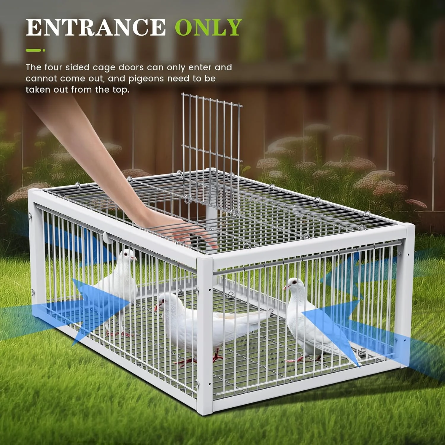 تله پرنده MOGOULUA، قفس کبوتر، ضد فرار، اتوماتیک، قفس صید کبوتر مسابقه ای، قفس پرنده اتوماتیک، درب ورودی یک طرفه برای کبوترها، طوطی ها، پرندگان، باغ ها، پشت بام ها، پاسیوها، 64x44x26 سانتی متر